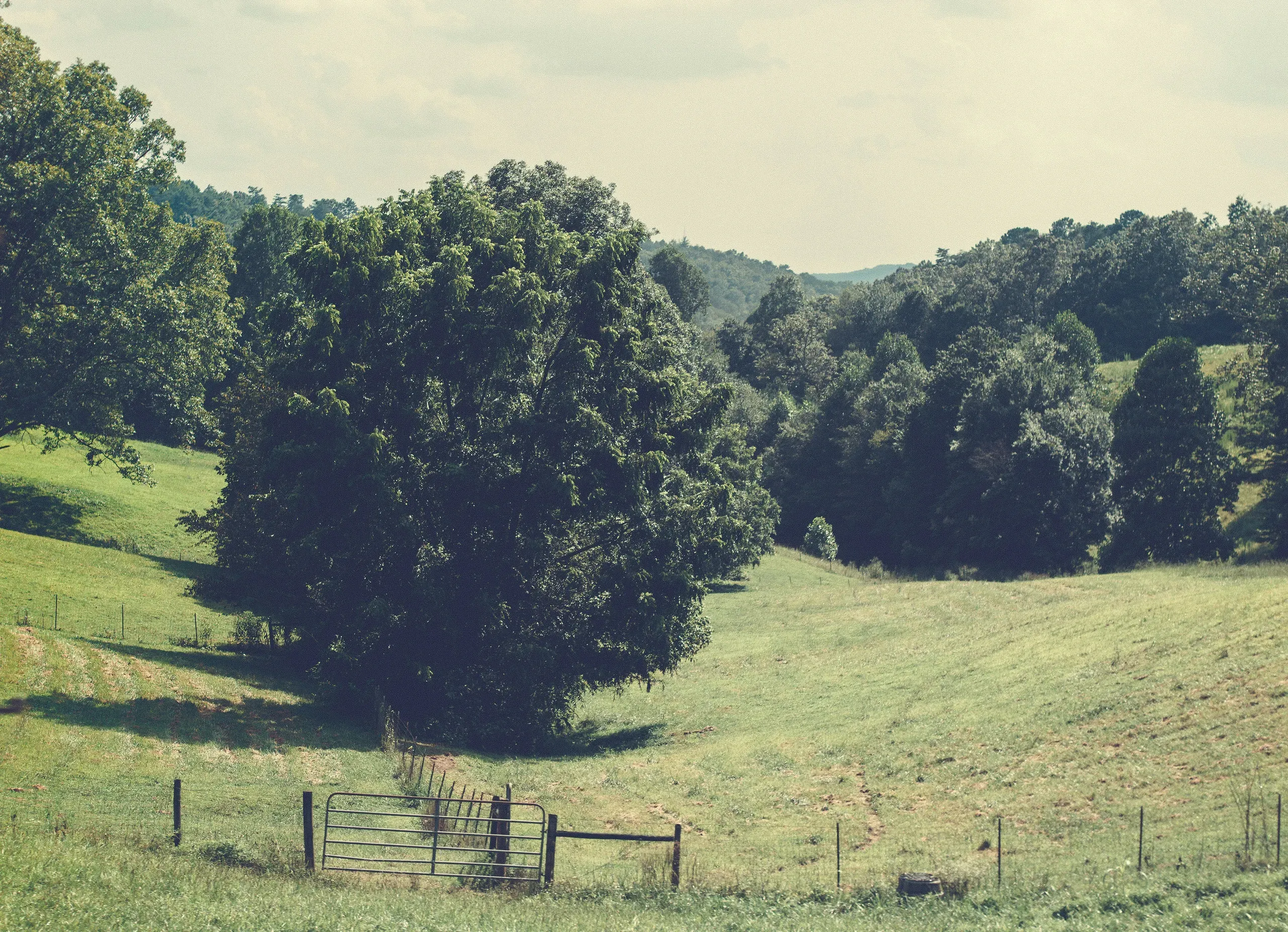 Blue Ridge, Georgia
