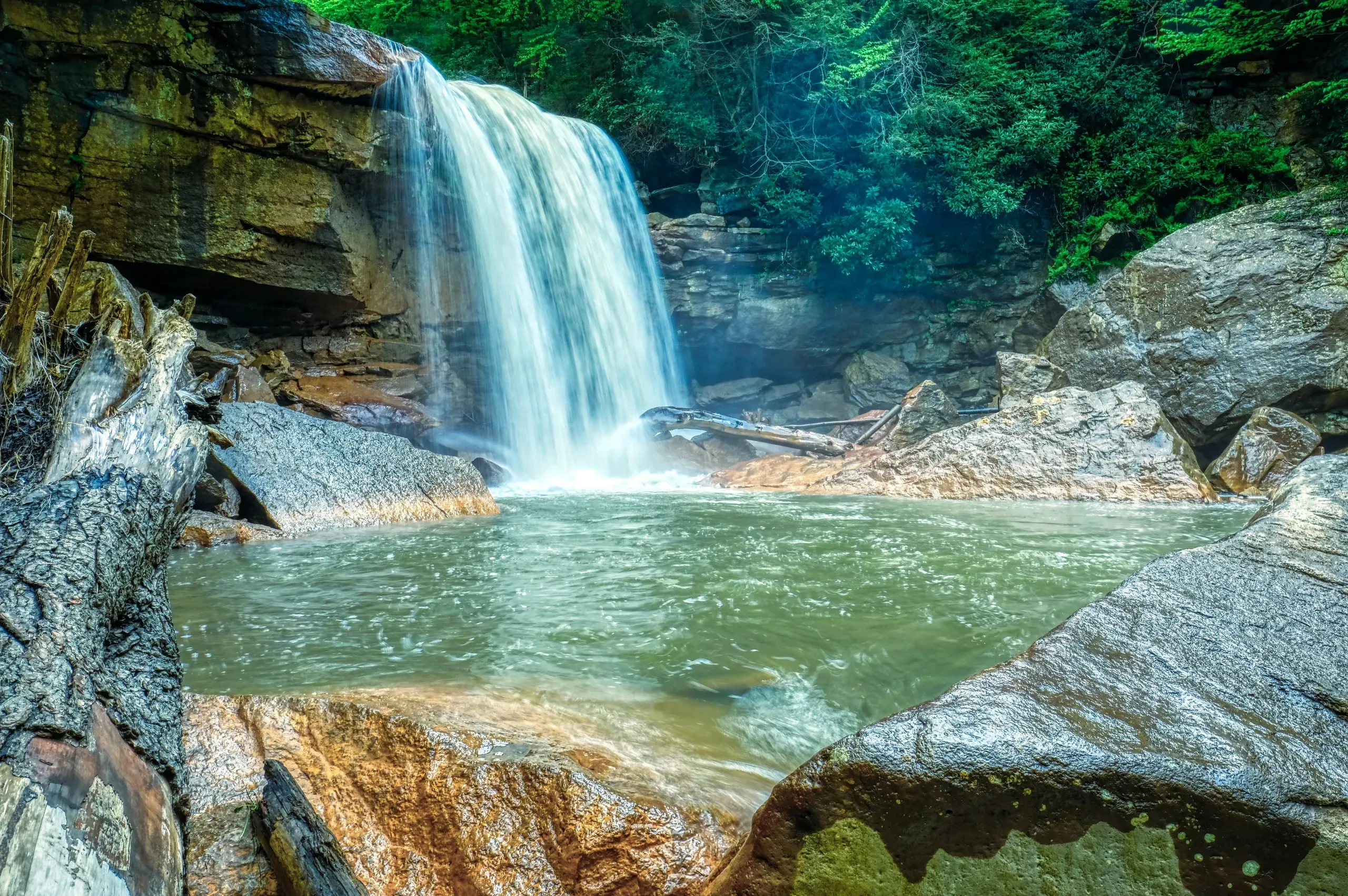 Douglas Falls, Blackwater Canyon Trail, Thomas, West Virginia