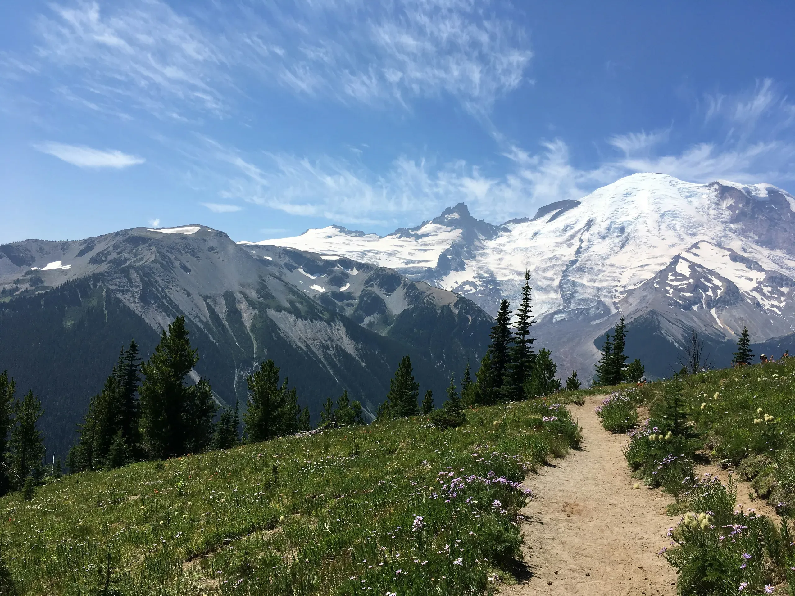 Hiking trail, Mt Rainier National Park, Washington