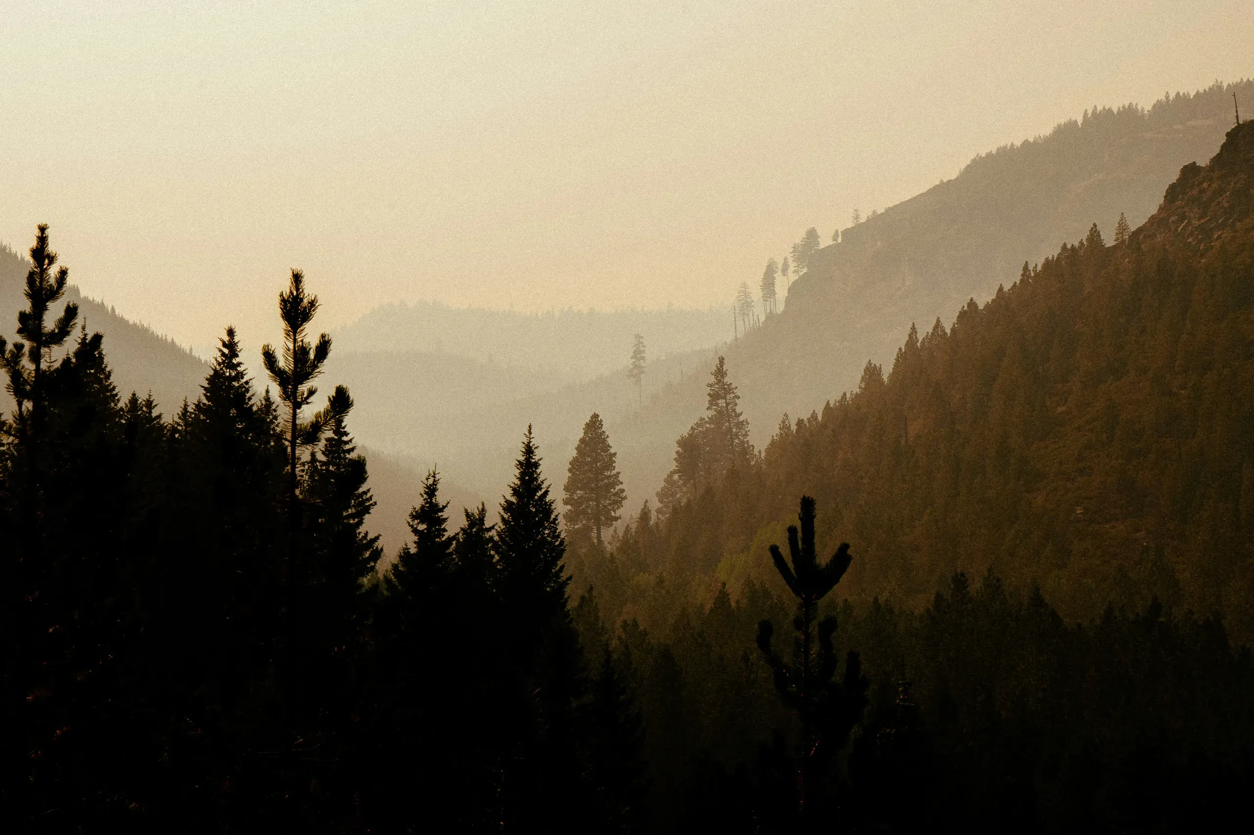 Tumalo Creek, Oregon
