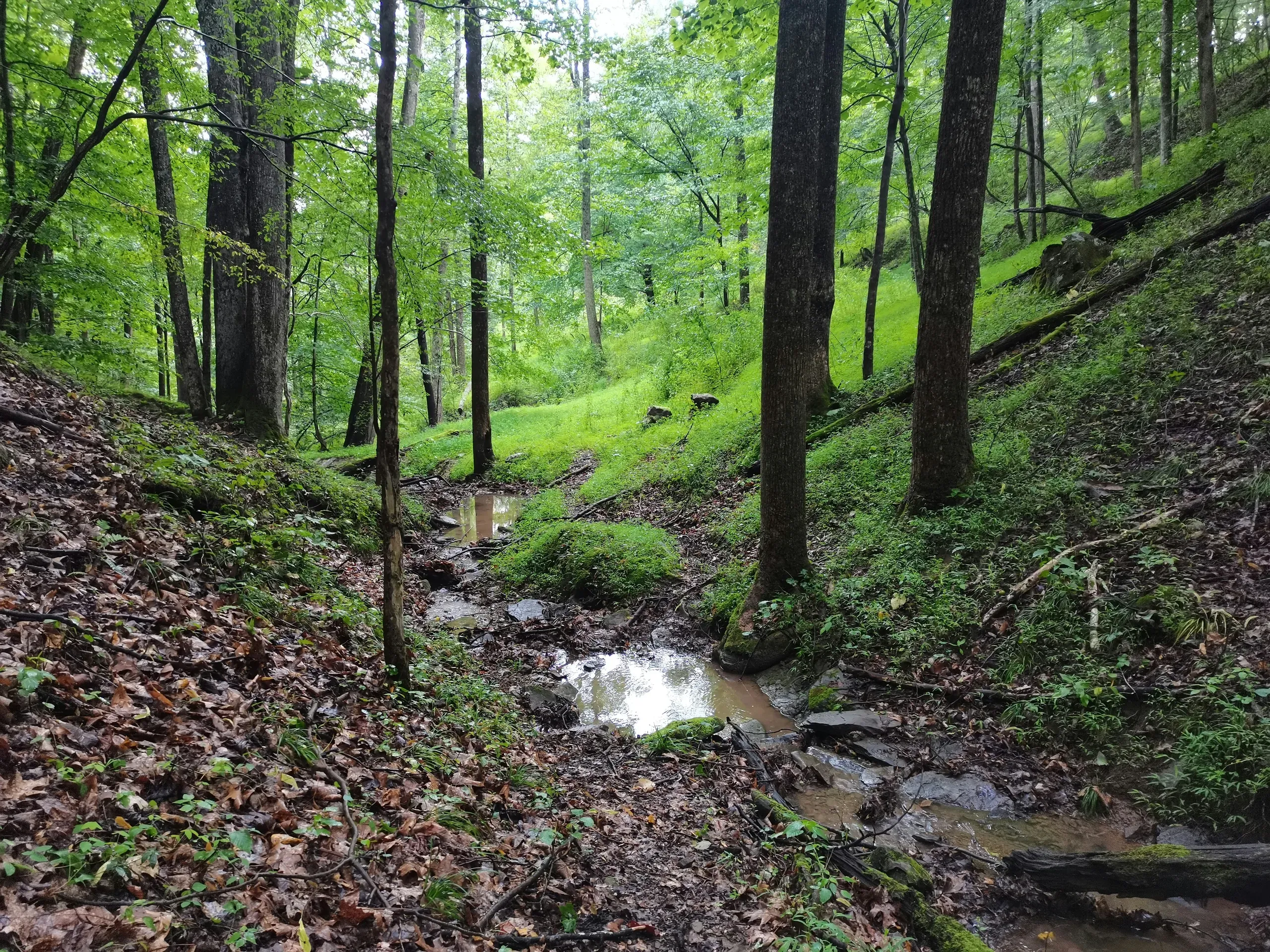 Long Run, Salem, West Virginia