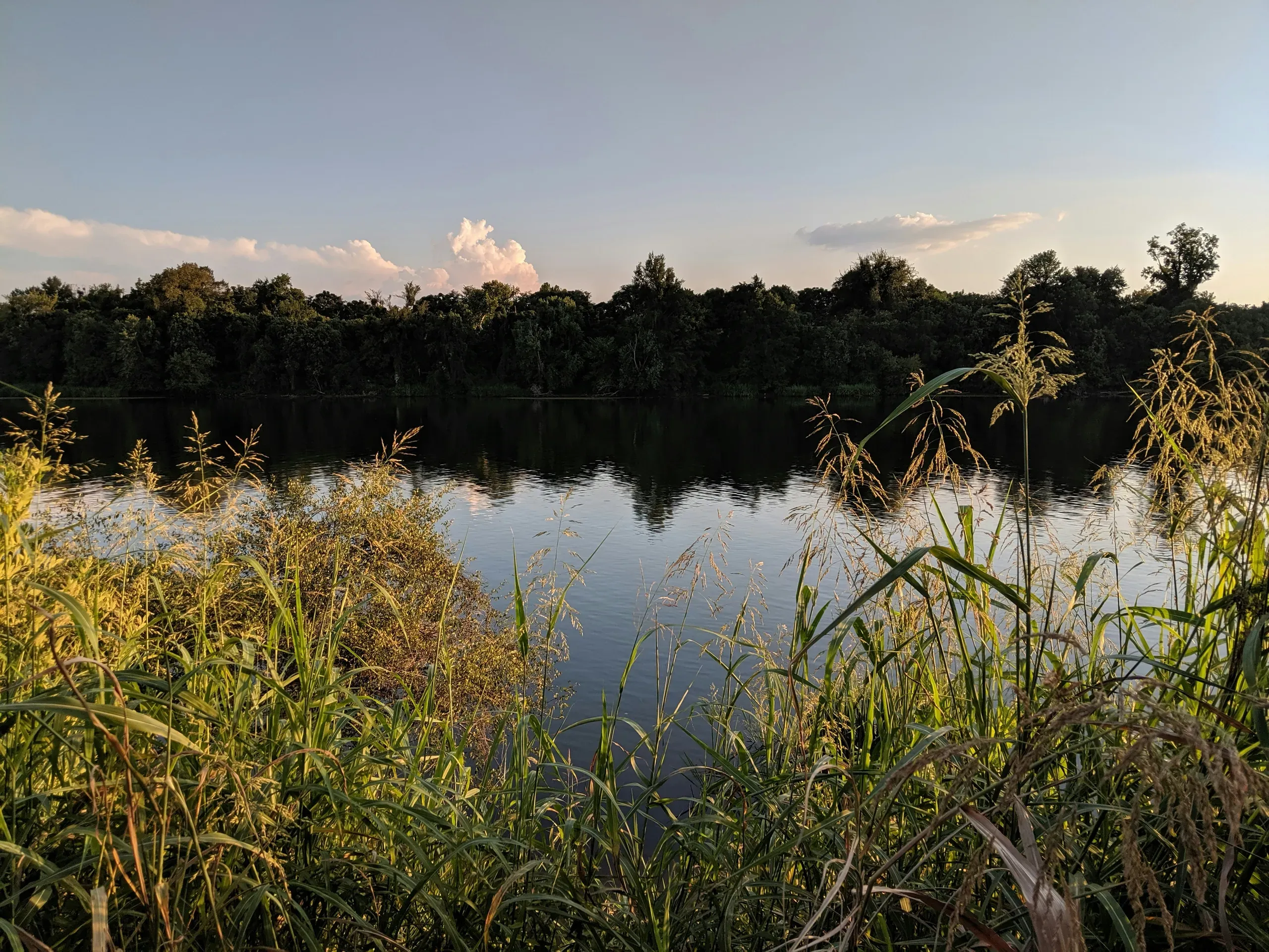 Savannah River,Hammond's Ferry, North Augusta, Georgia