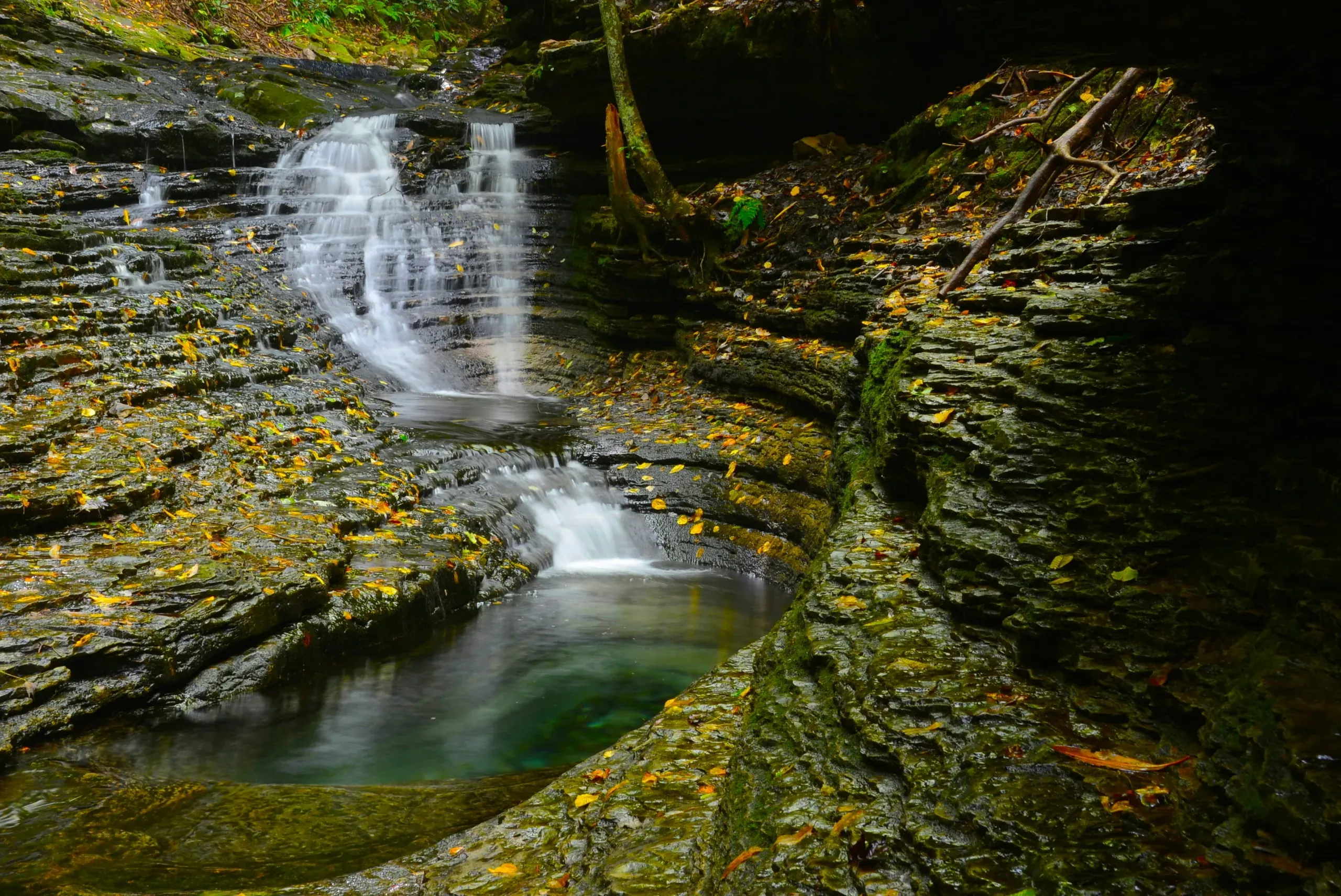 Nickelsville, Virginia. Waterfall, autumn, yellow leaves, rocks