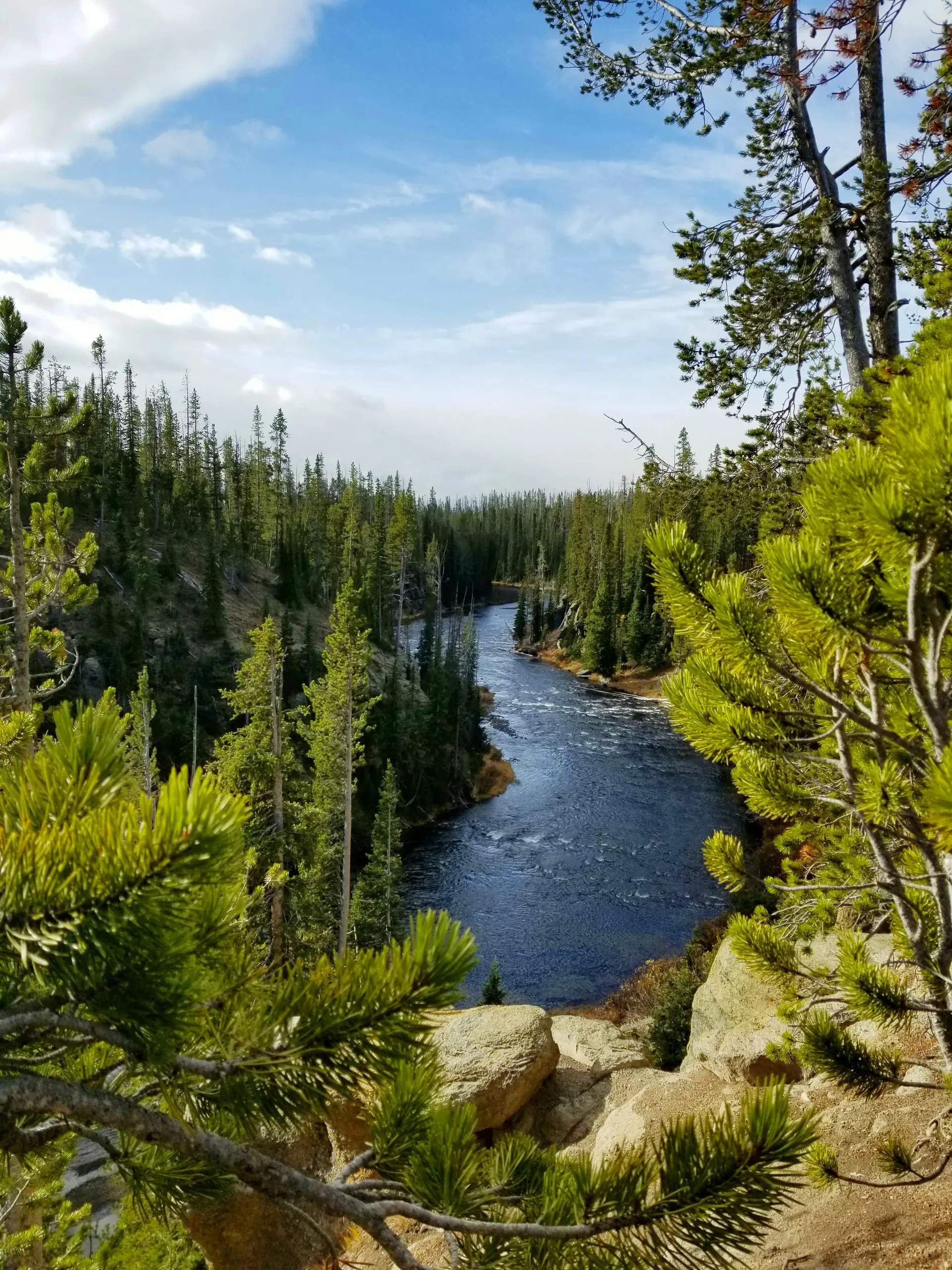Snake River, Yellowstone National Park, Wyoming
