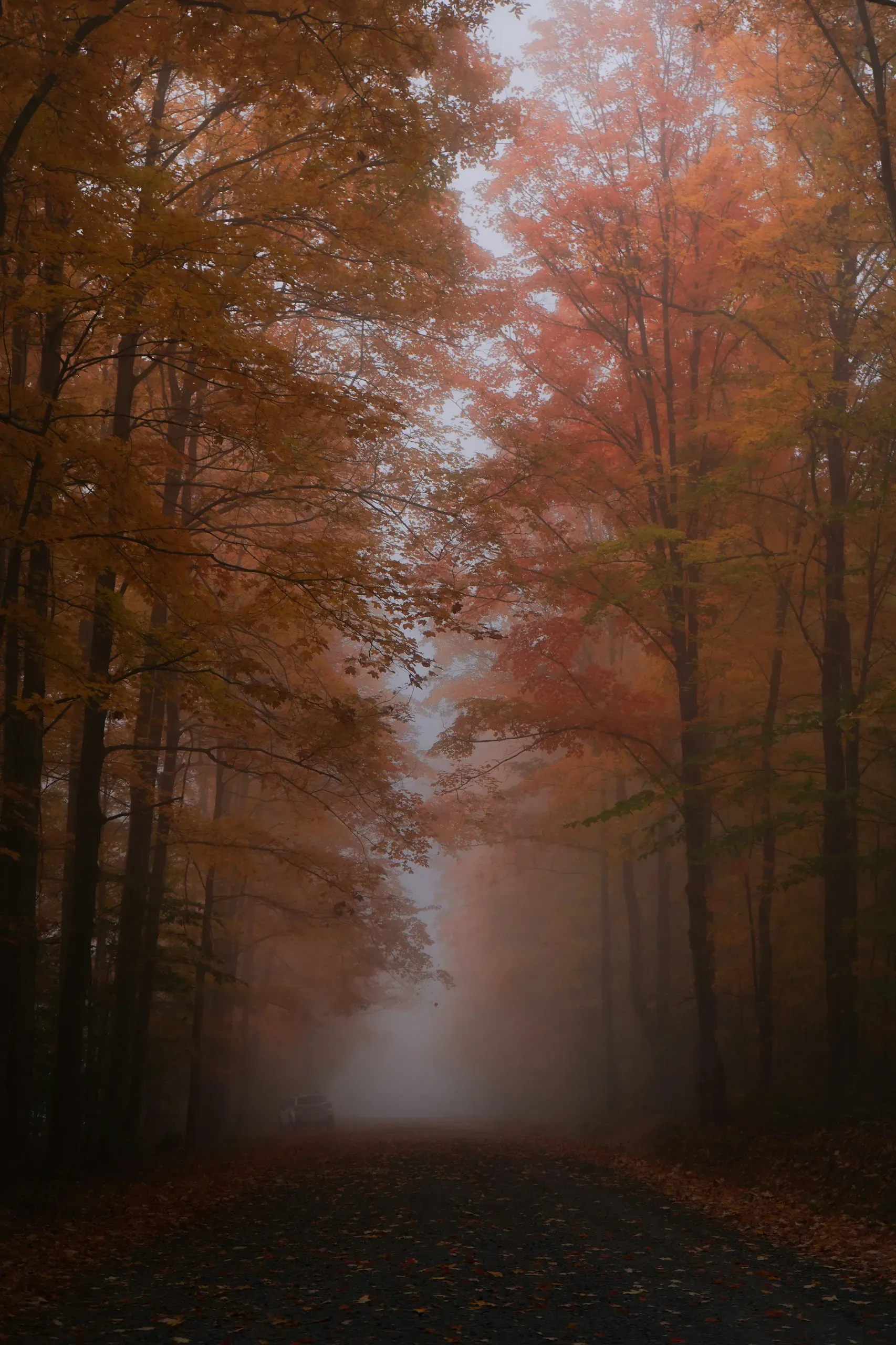 Vermont