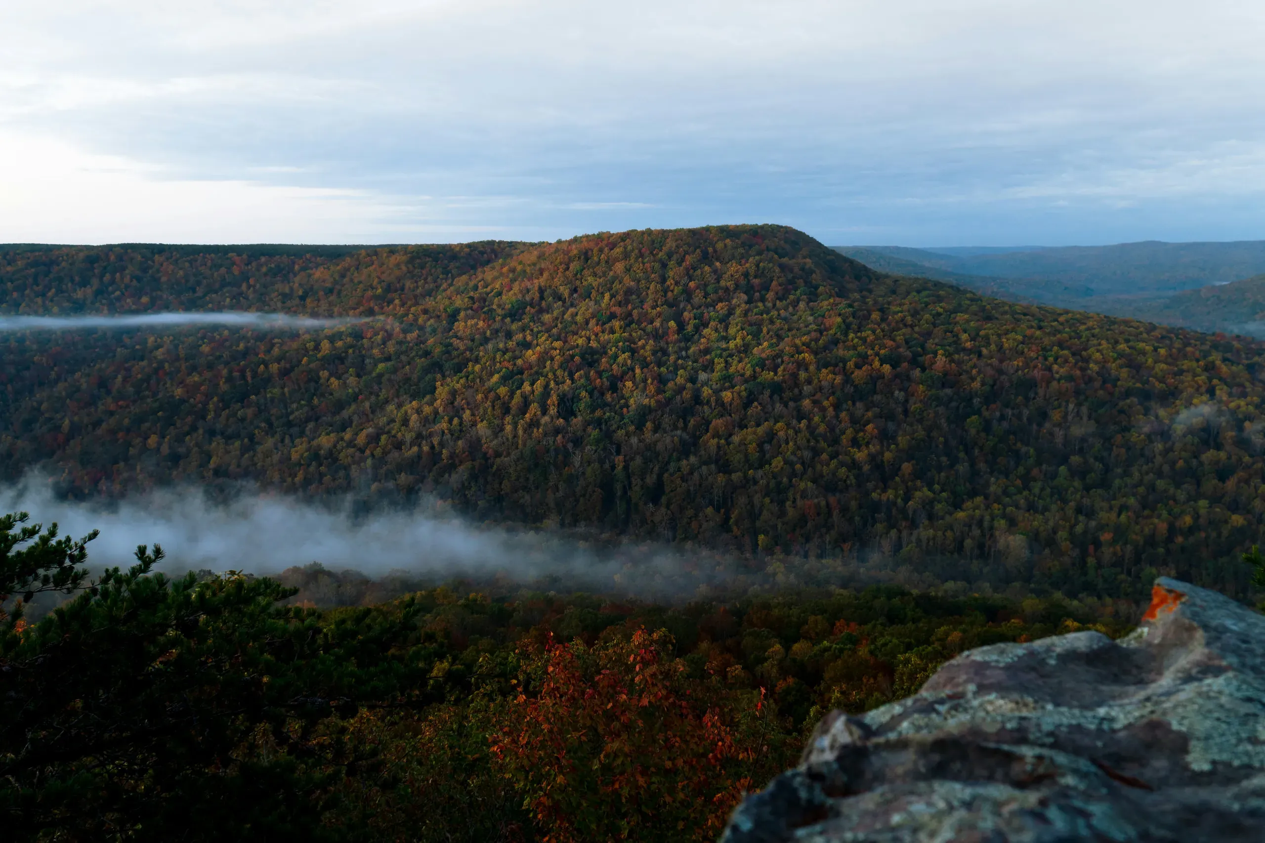 Moody mountain morning in Tennessee.