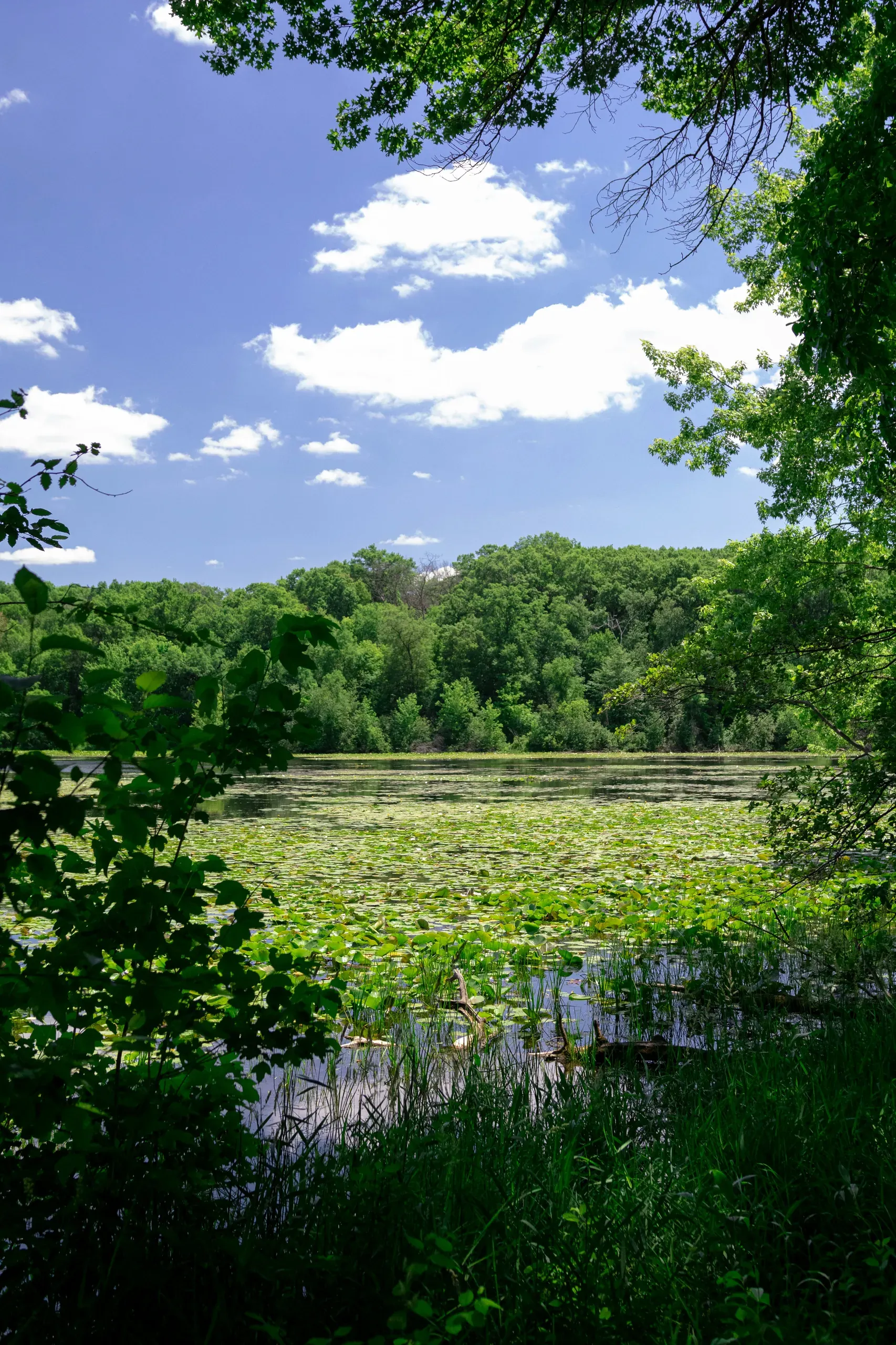 Lebanon Hills Regional Park, Cliff Road, Eagan, Michigan