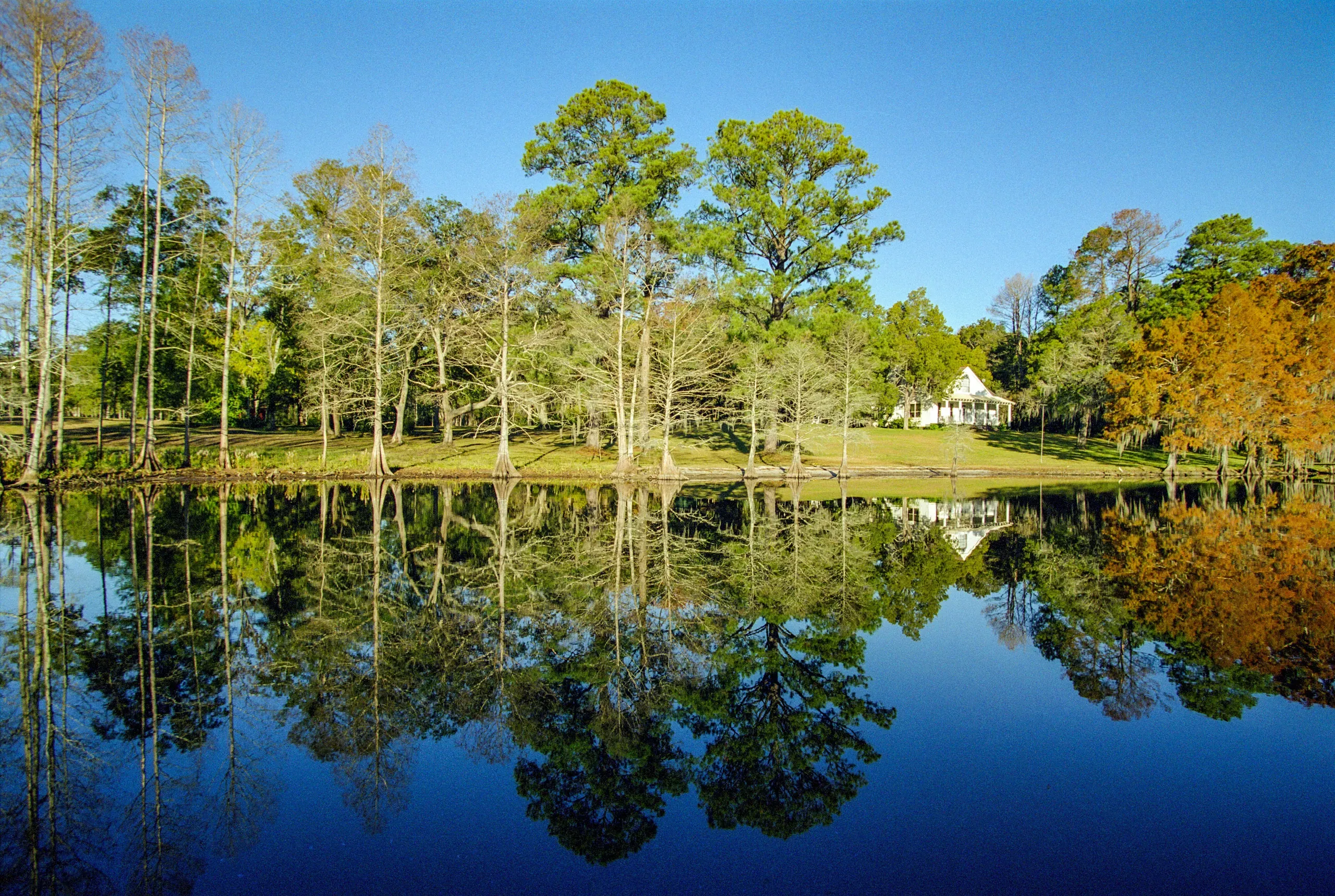 Lush green trees line the bank of a calm lake under a partly cloudy sky in Slidell, Louisiana.