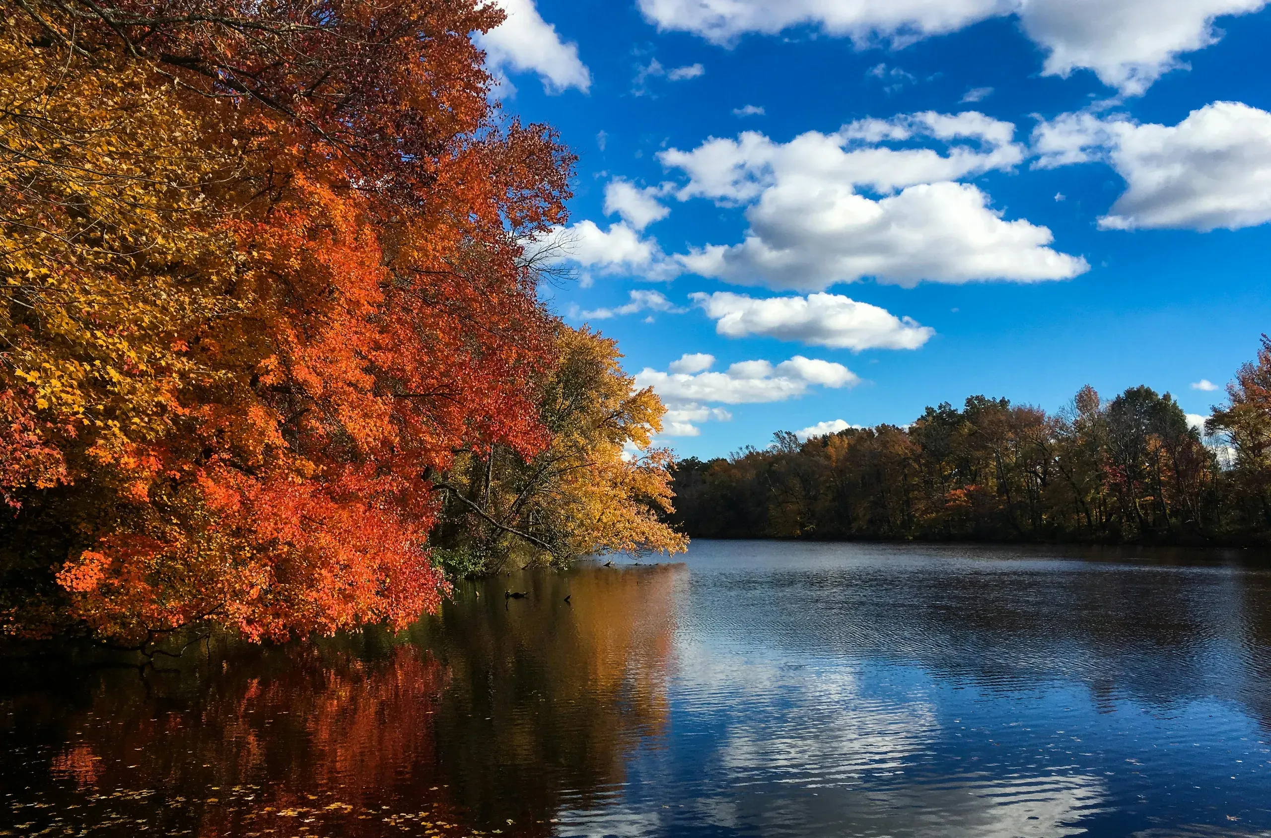 Voorhees Township, New Jersey