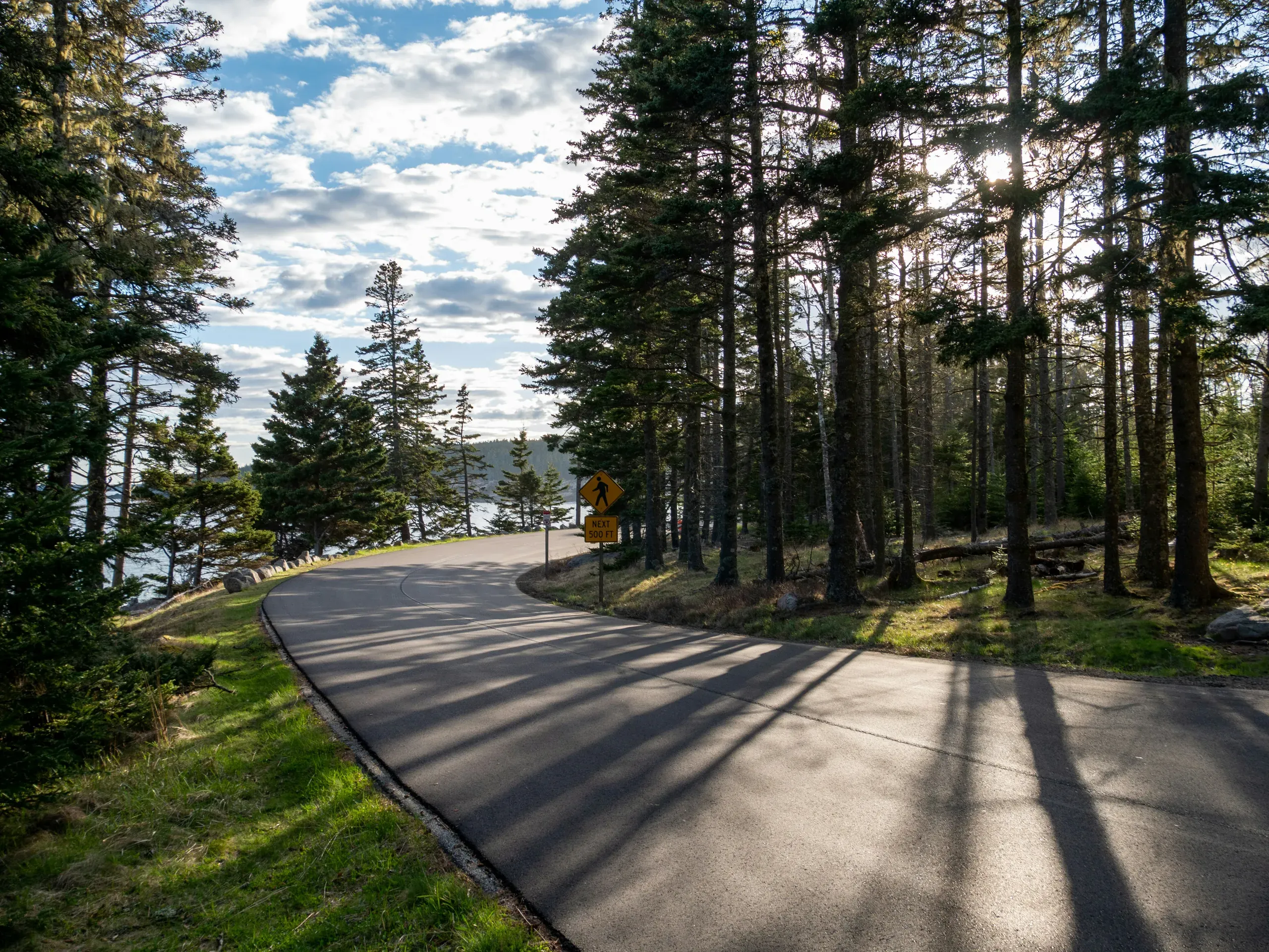 A paved road curves through a forest of tall pine trees in Acadia National Park, Maine. The sun shines through the trees, casting long shadows across the road. A yellow pedestrian crossing sign stands on the verge, and a large body of water is visible to the left.