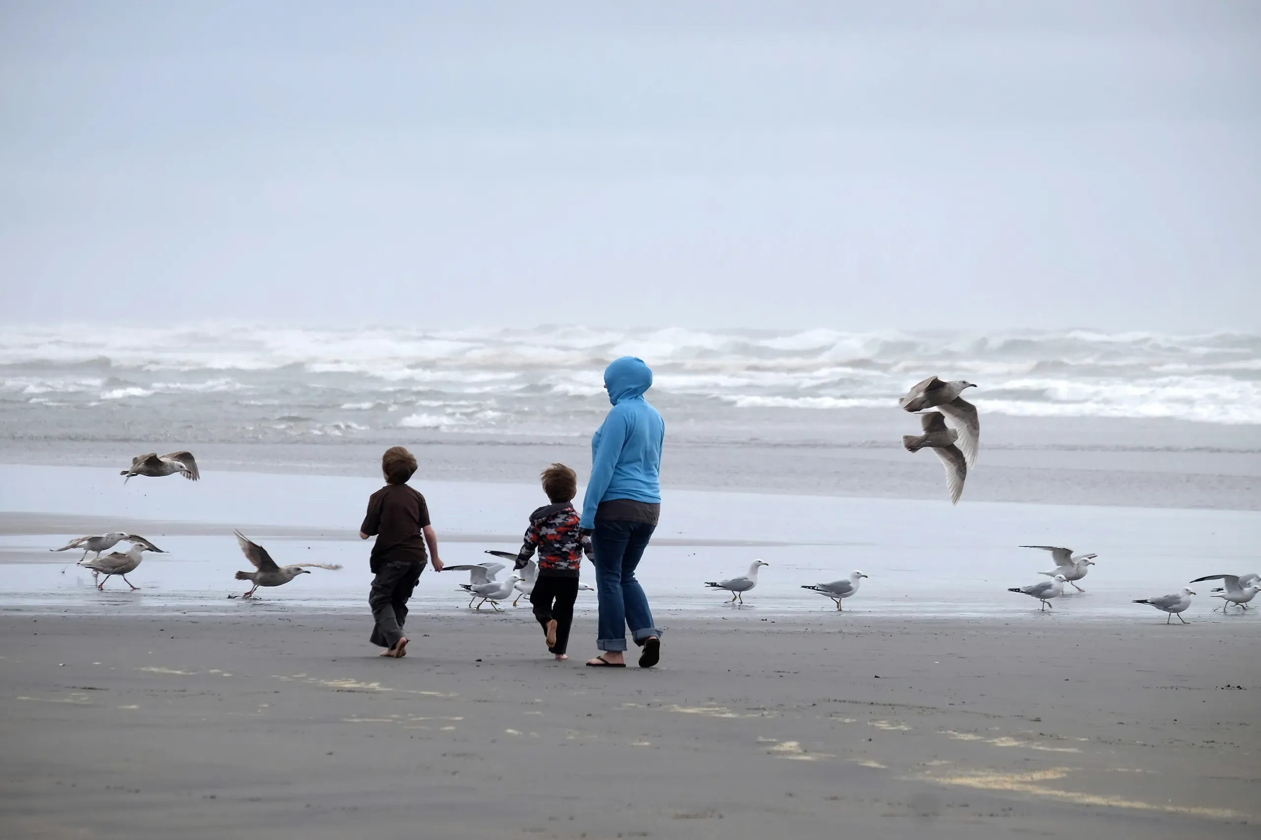 Long Beach, Washington
