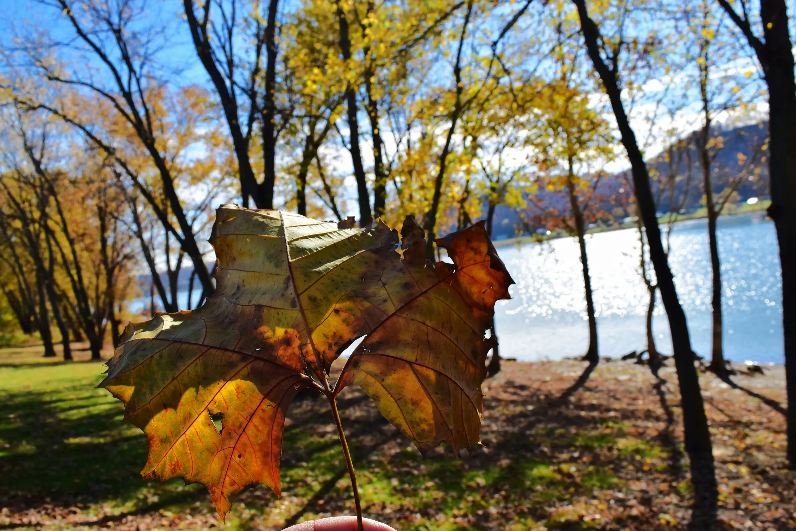 Madison, Indiana