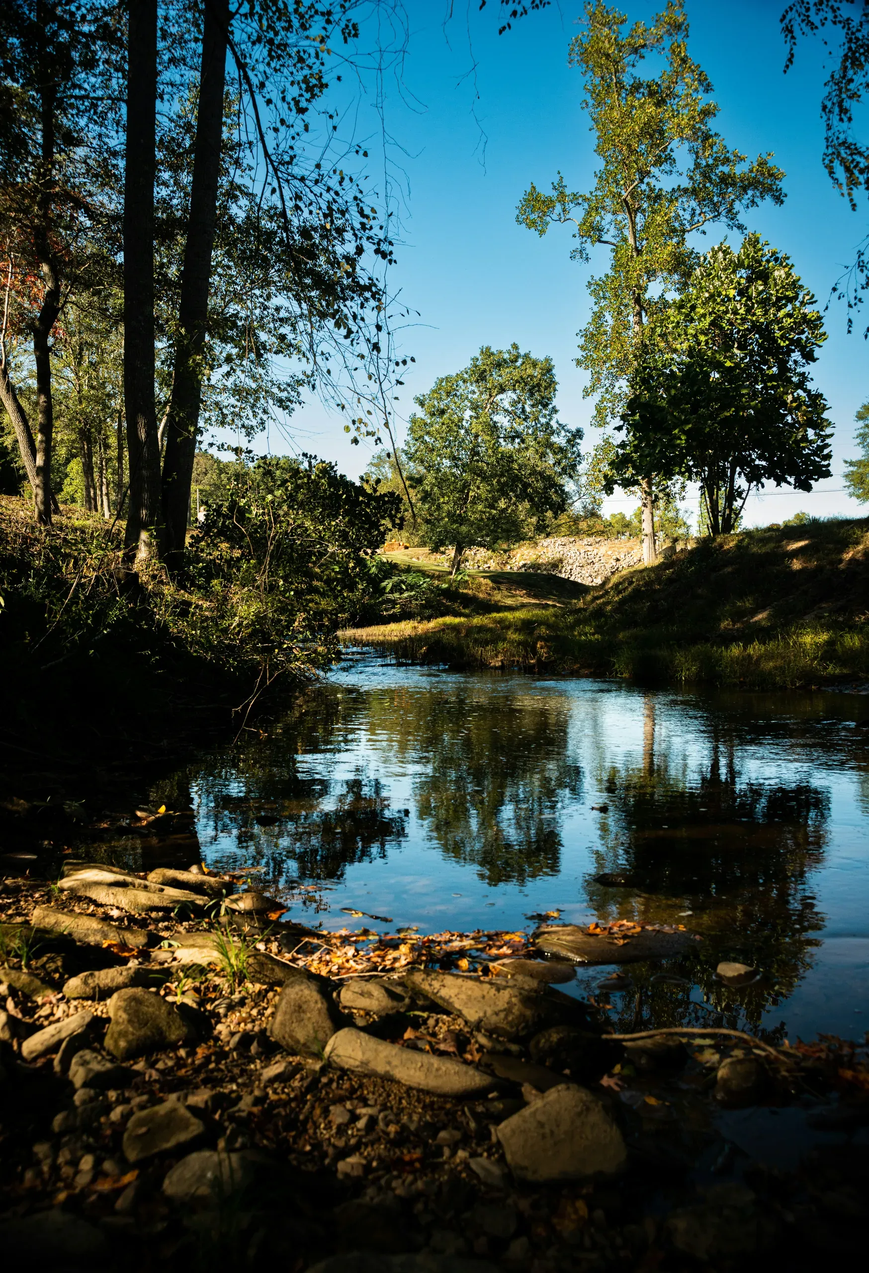 Hamilton, Alabama
