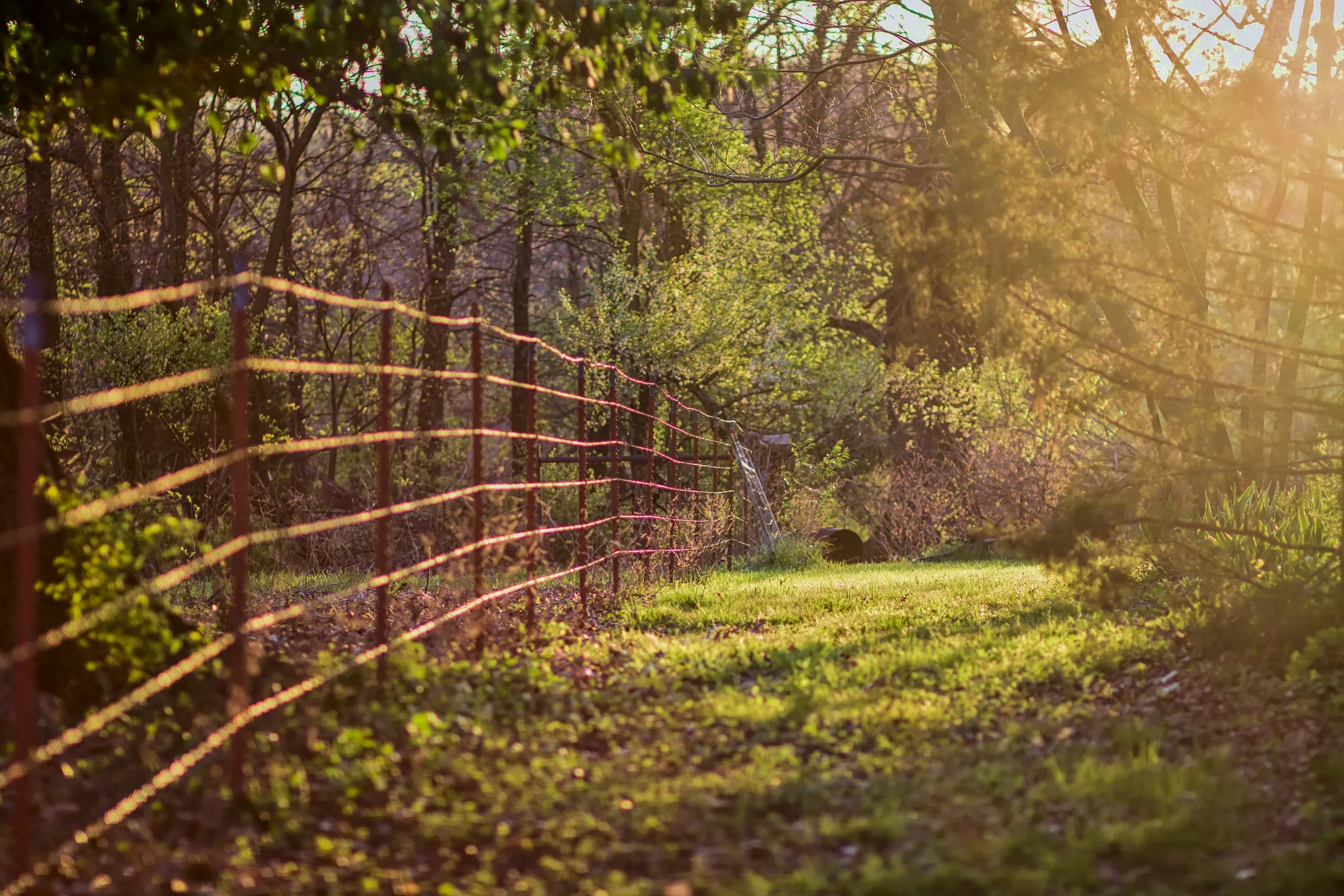 Monett, Missouri