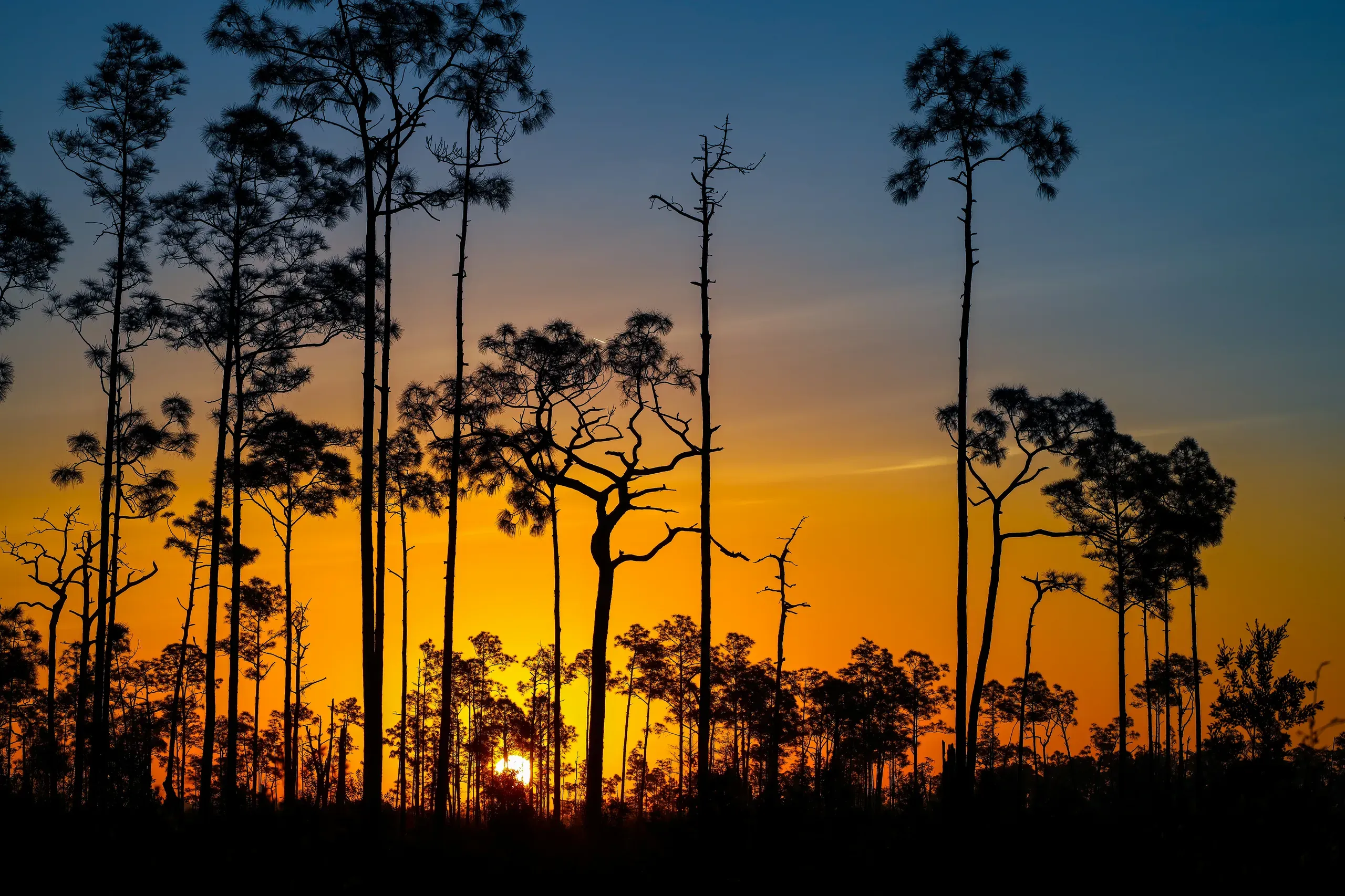 Picayune Strand, Florida