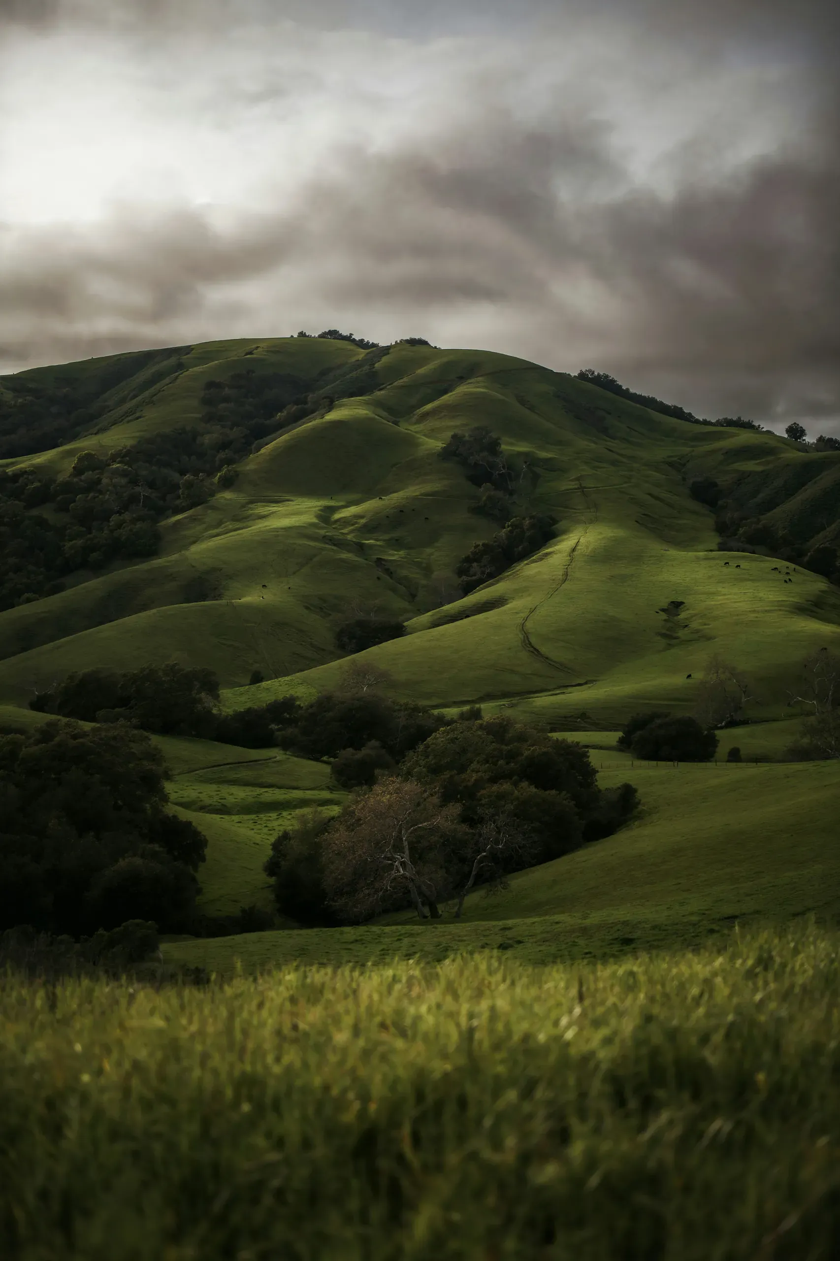 Green Valley Viewing Point, California 46, Cambria, California