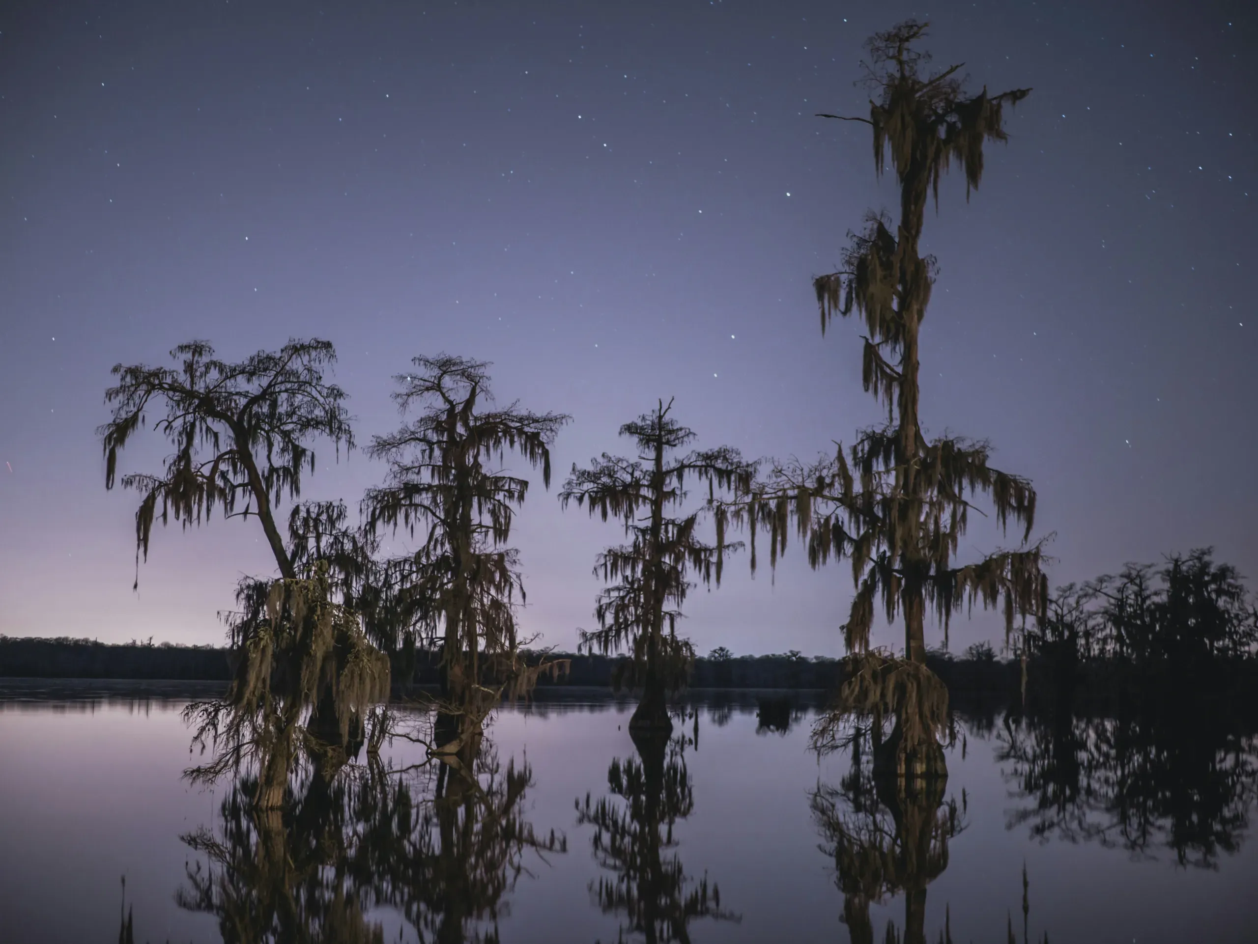 The stars of the night sky are reflected in the water between silhouetted cypress trees at Lake Martin, Louisiana.