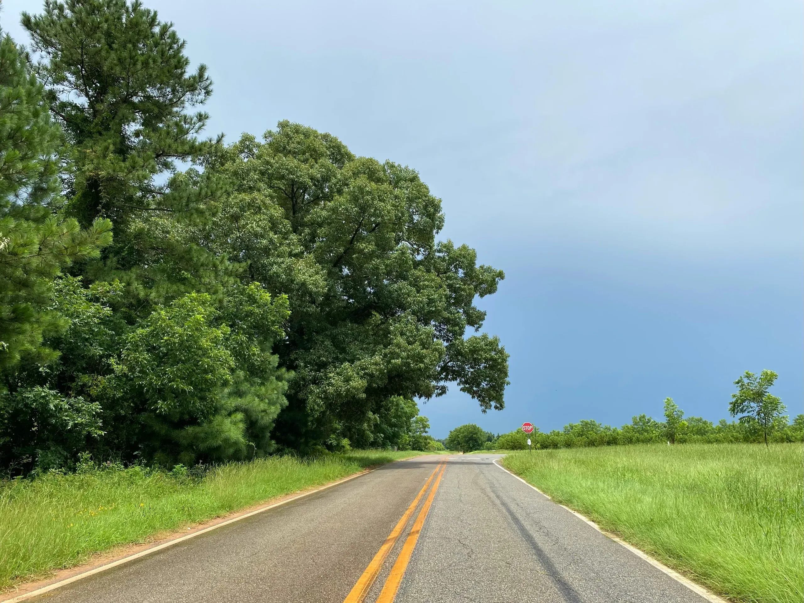Back roads of Georgia
