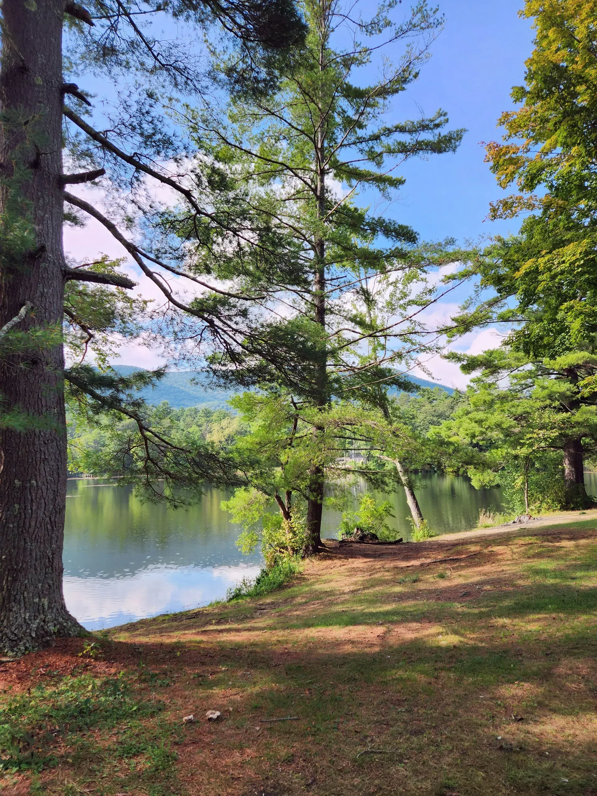 Vermont