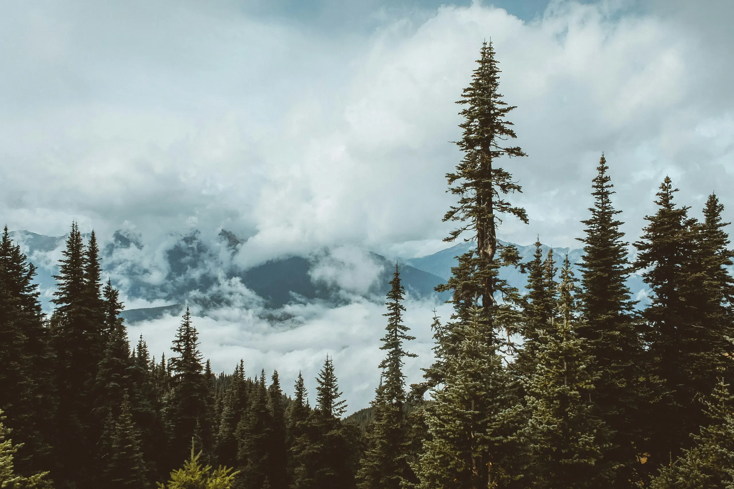 Washington