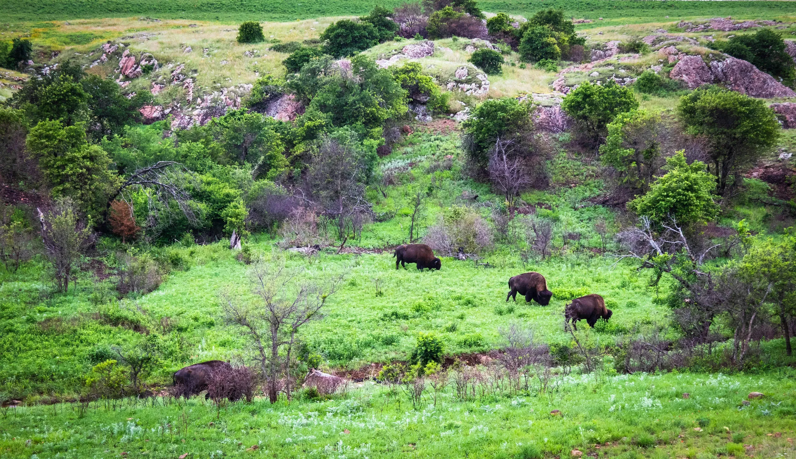 Wichita Mountains Wildlife Refuge in the Spring, Oklahoma
