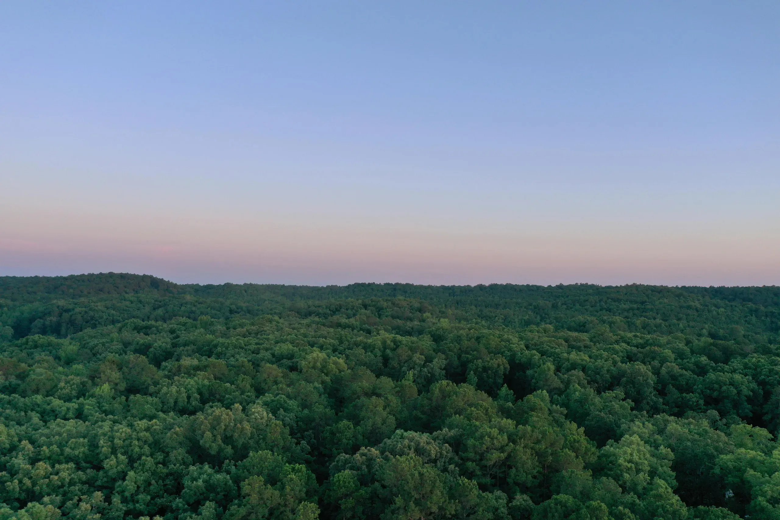 forest, Benton, Arkansas
