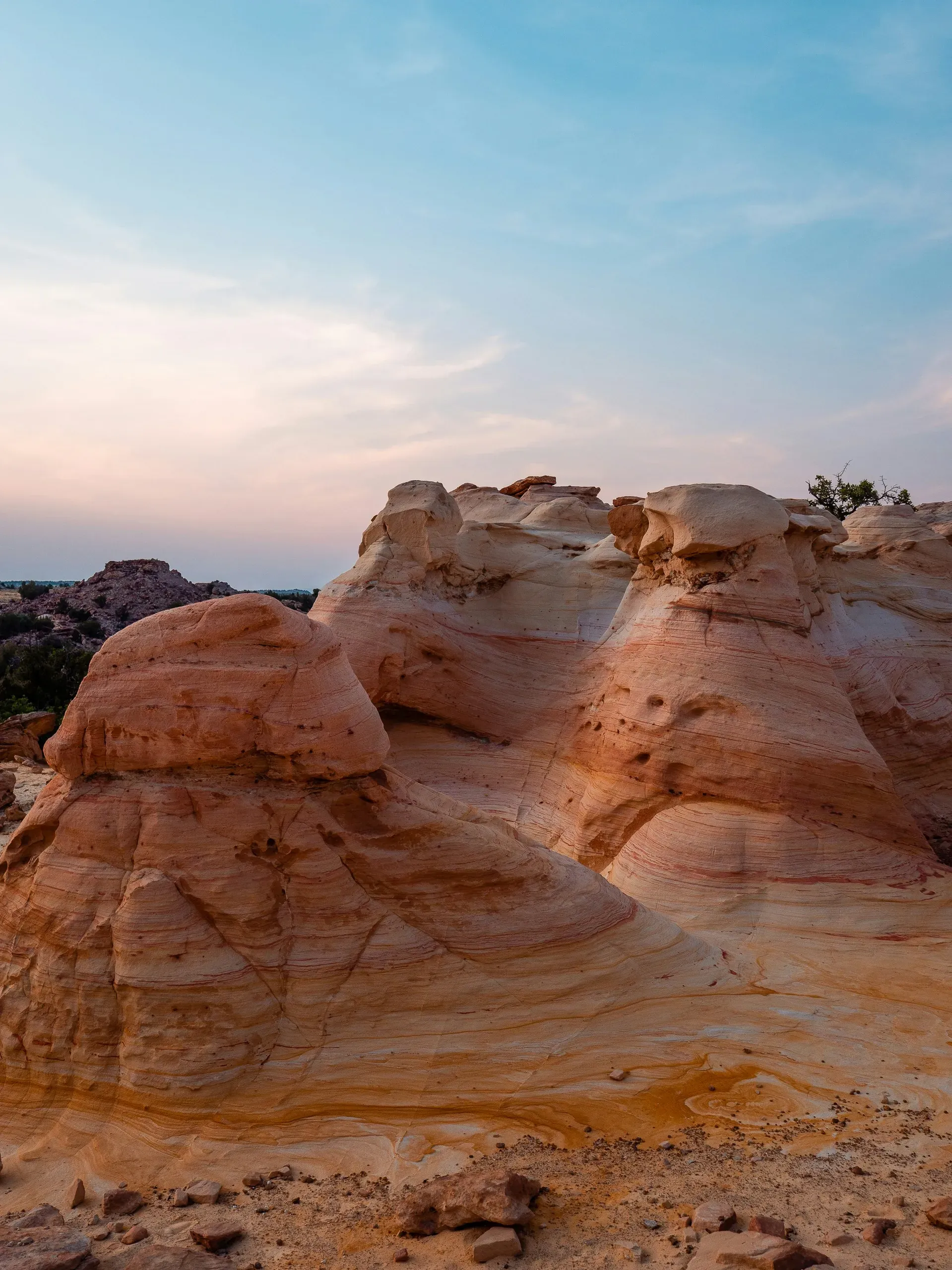 New Mexico