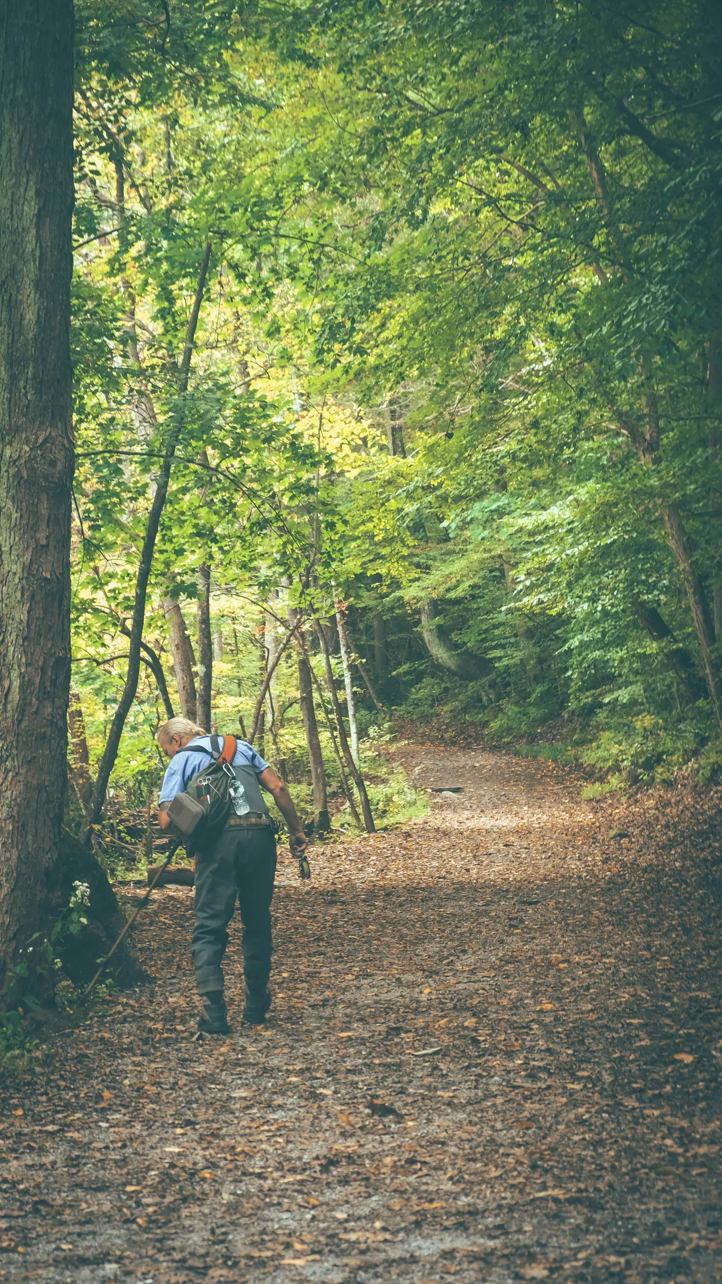 Ken Lockwood Gorge Wildlife Management Area, Raritan River Road, Califon, New Jersey