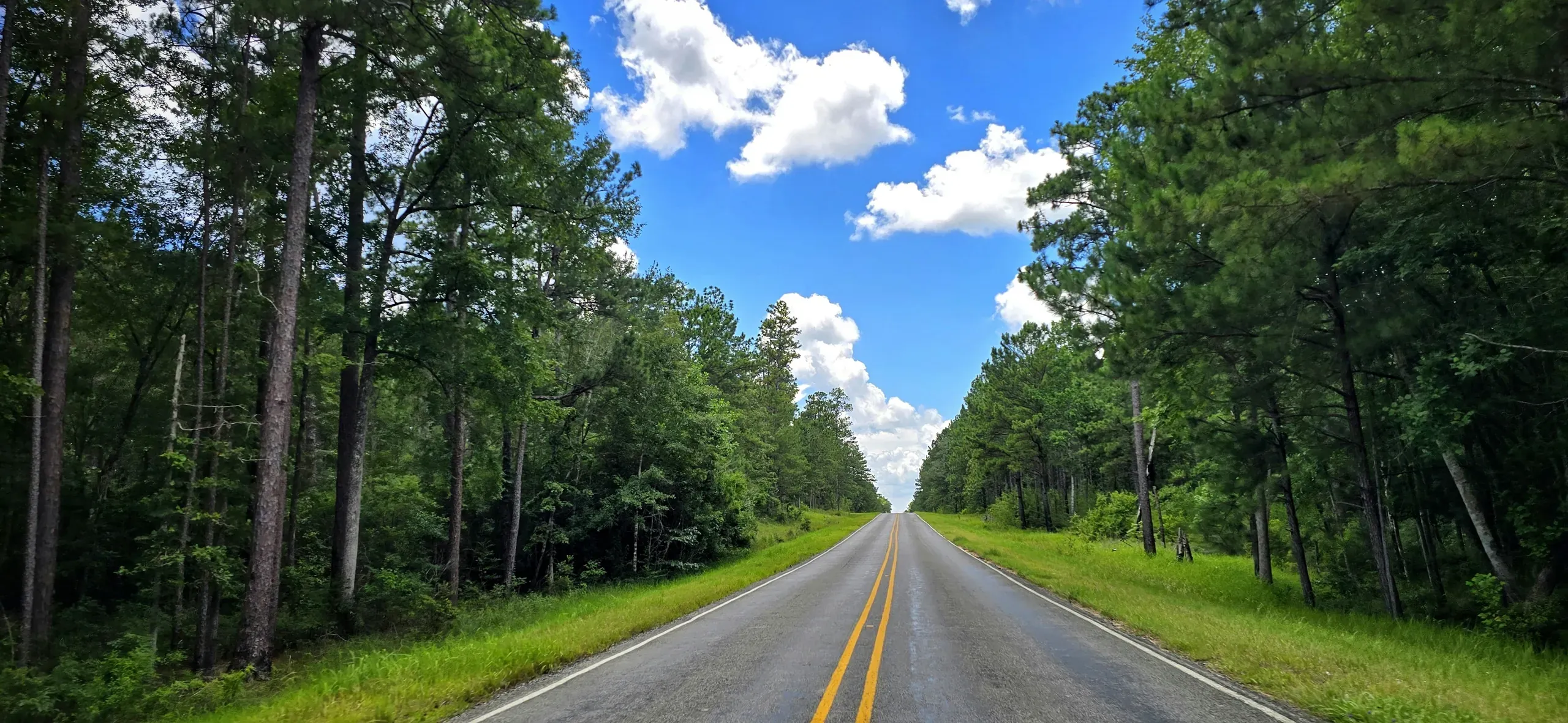 Country road in Mississippi