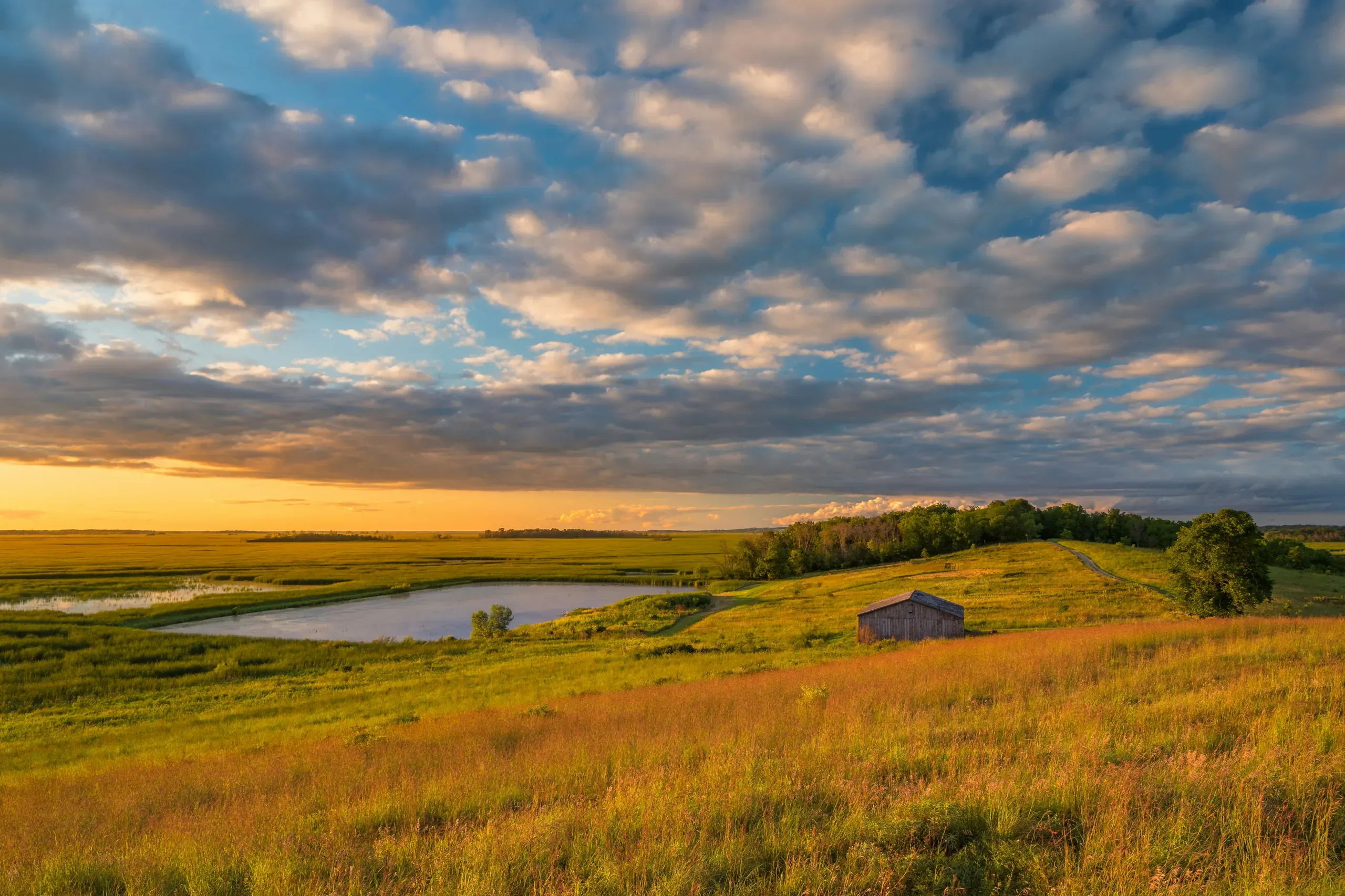 The setting sun shines some golden light over Horicon Marsh, Wisconsin