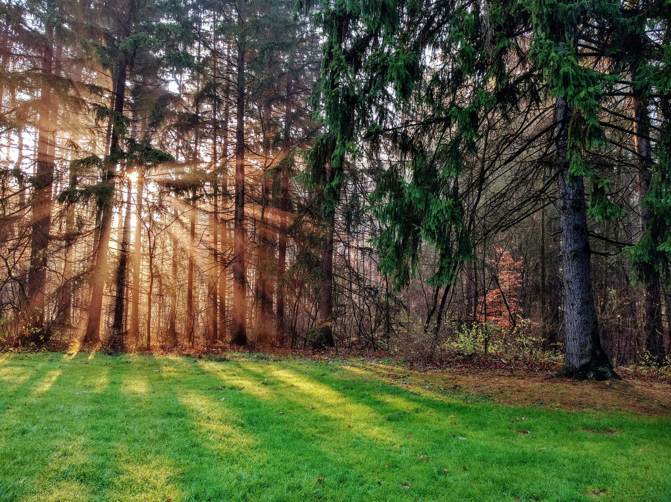 1841 Metropolitan Park W, Hinckley, Ohio