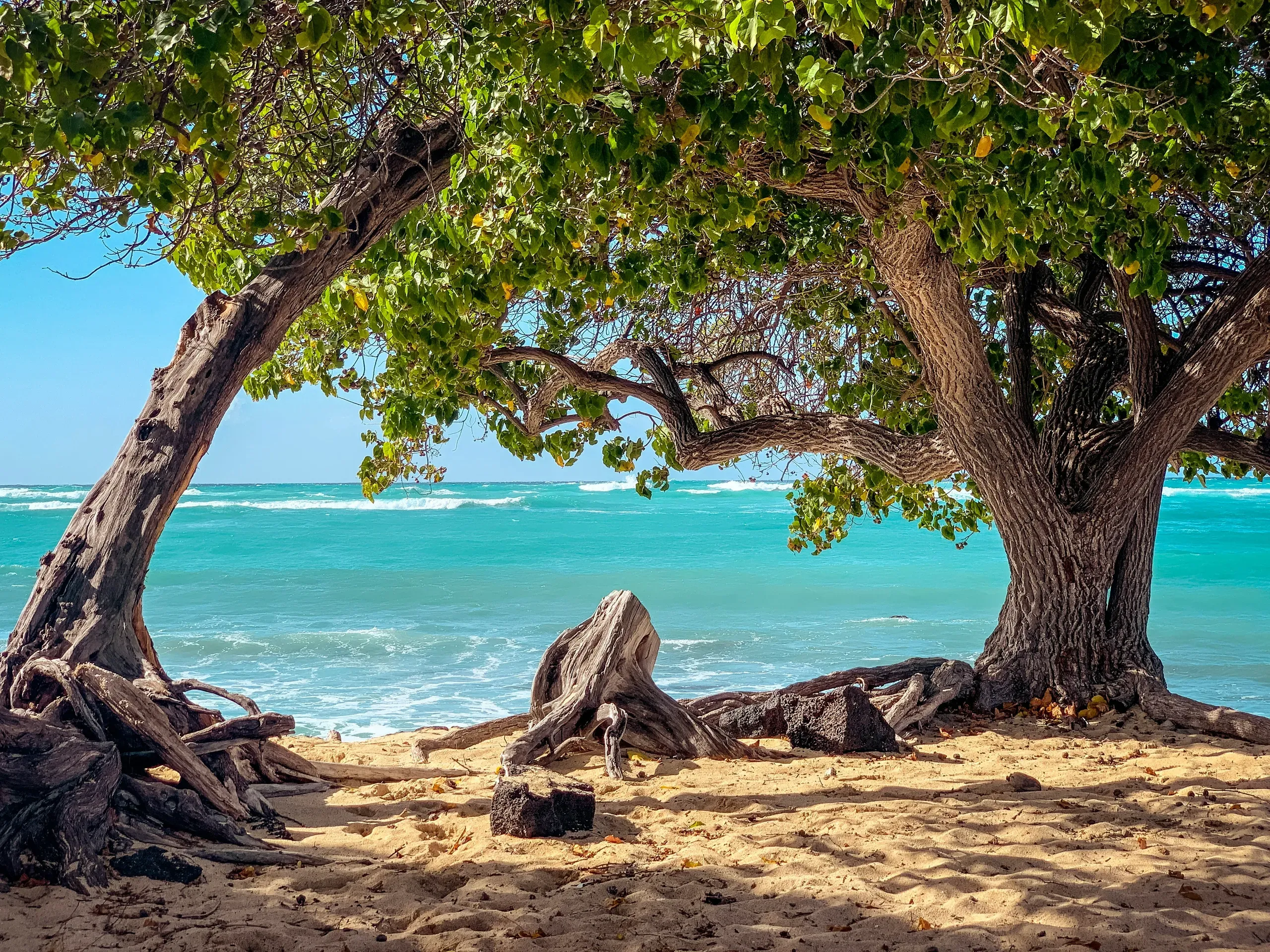 Hawaii