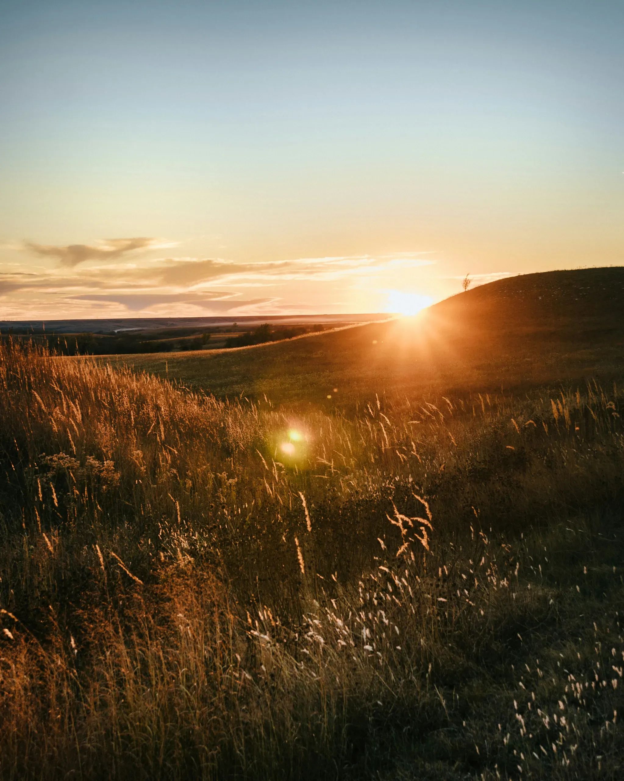 Sunset over golden plains in central Kansas