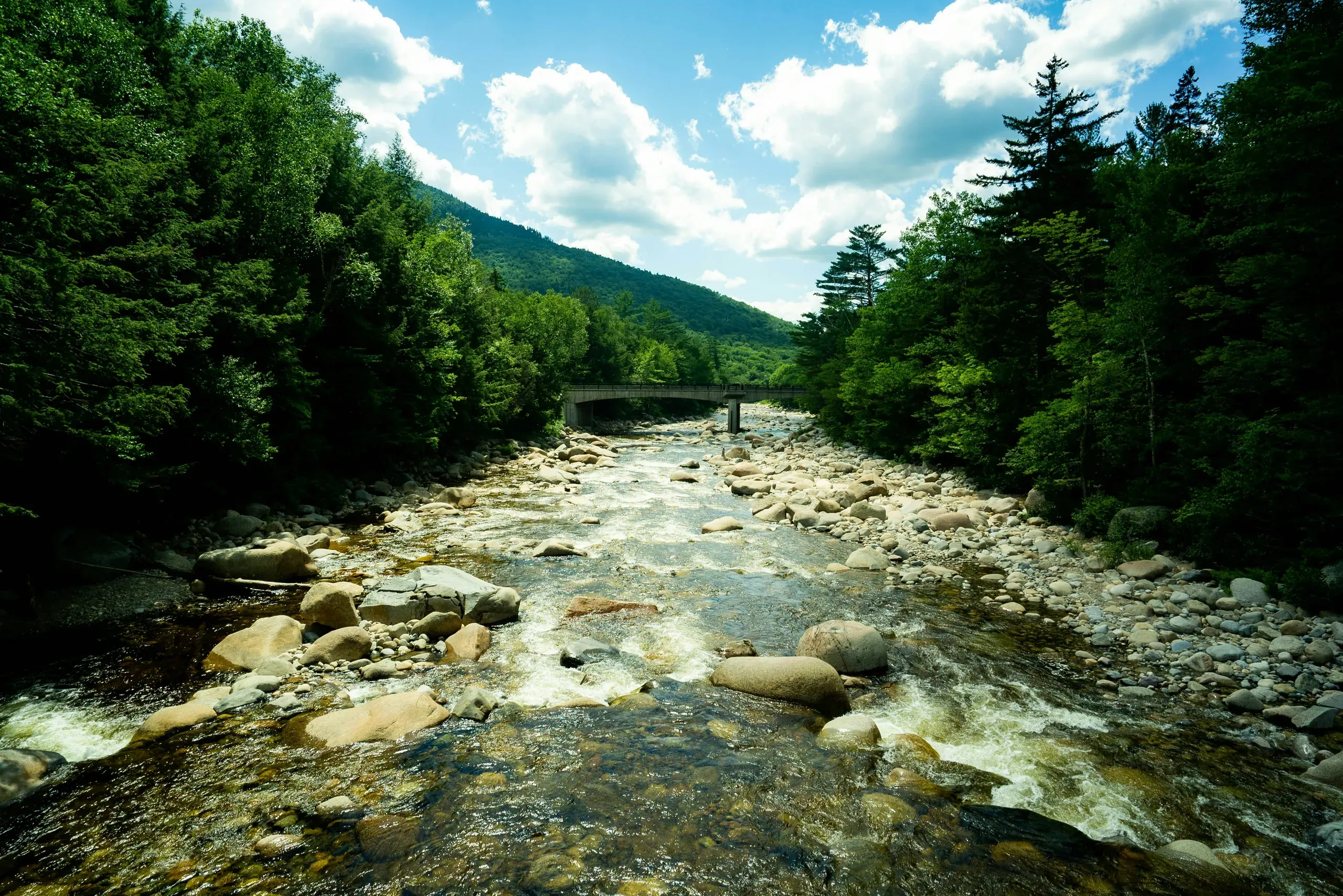New Hampshire