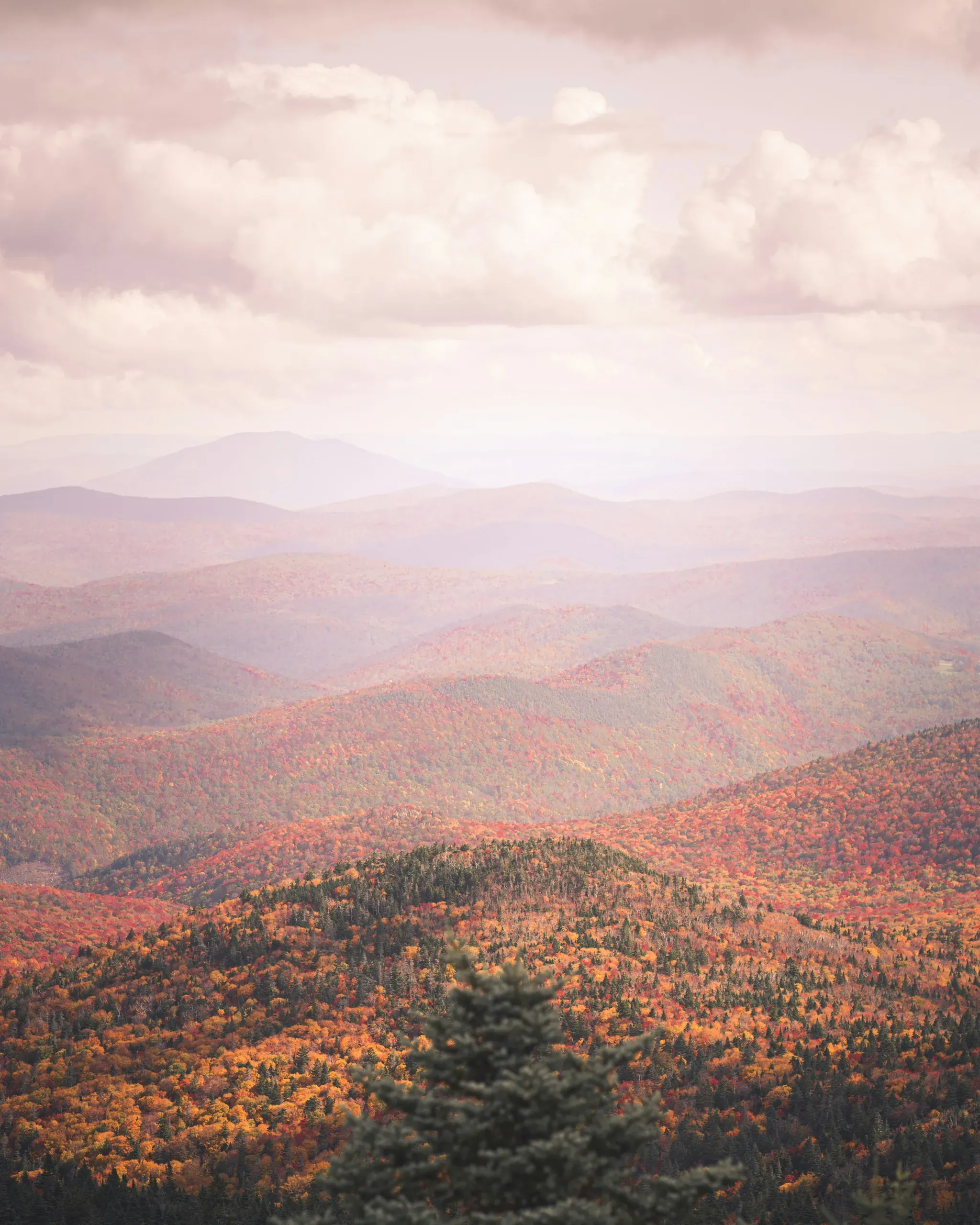 Vermont