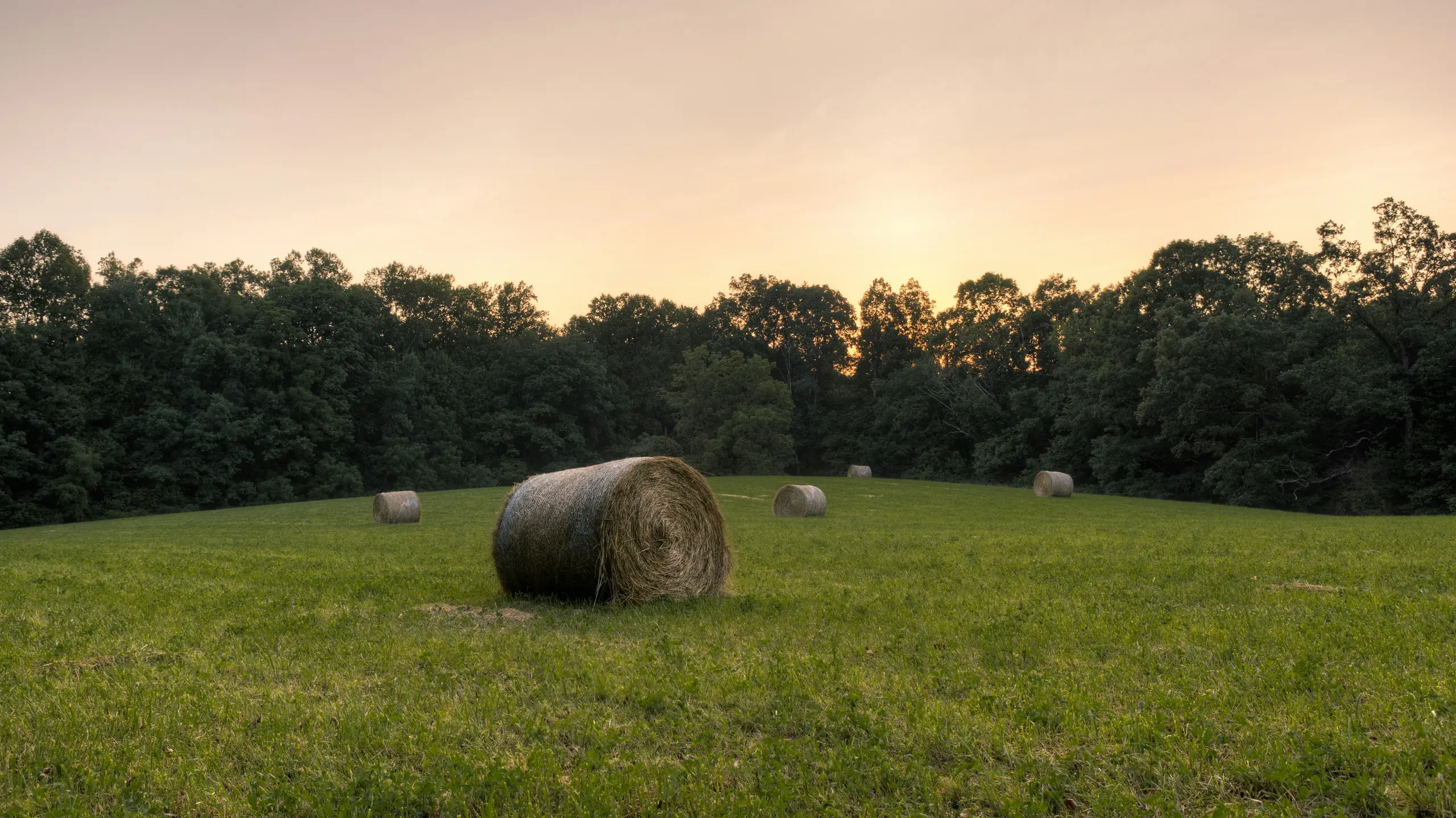 Laurel County, Kentucky. A rural scene in Kentucky featuring some hay bales.