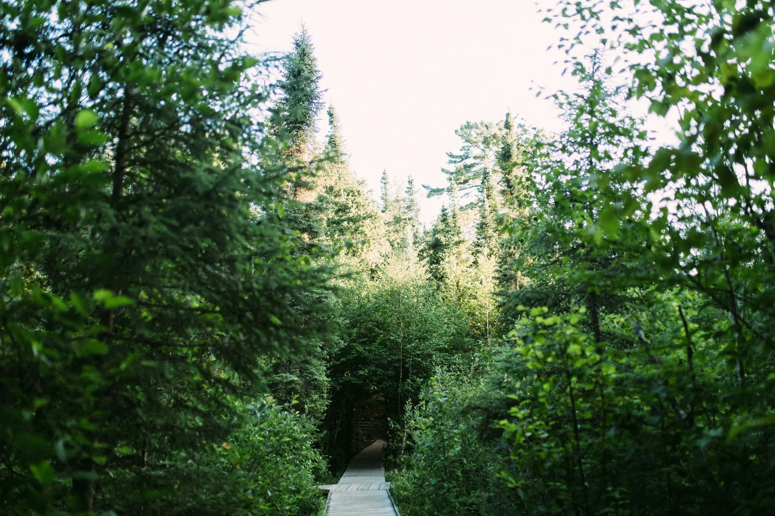 Camp Menogyn, Menogyn Trail, Grand Marais, Minnesota