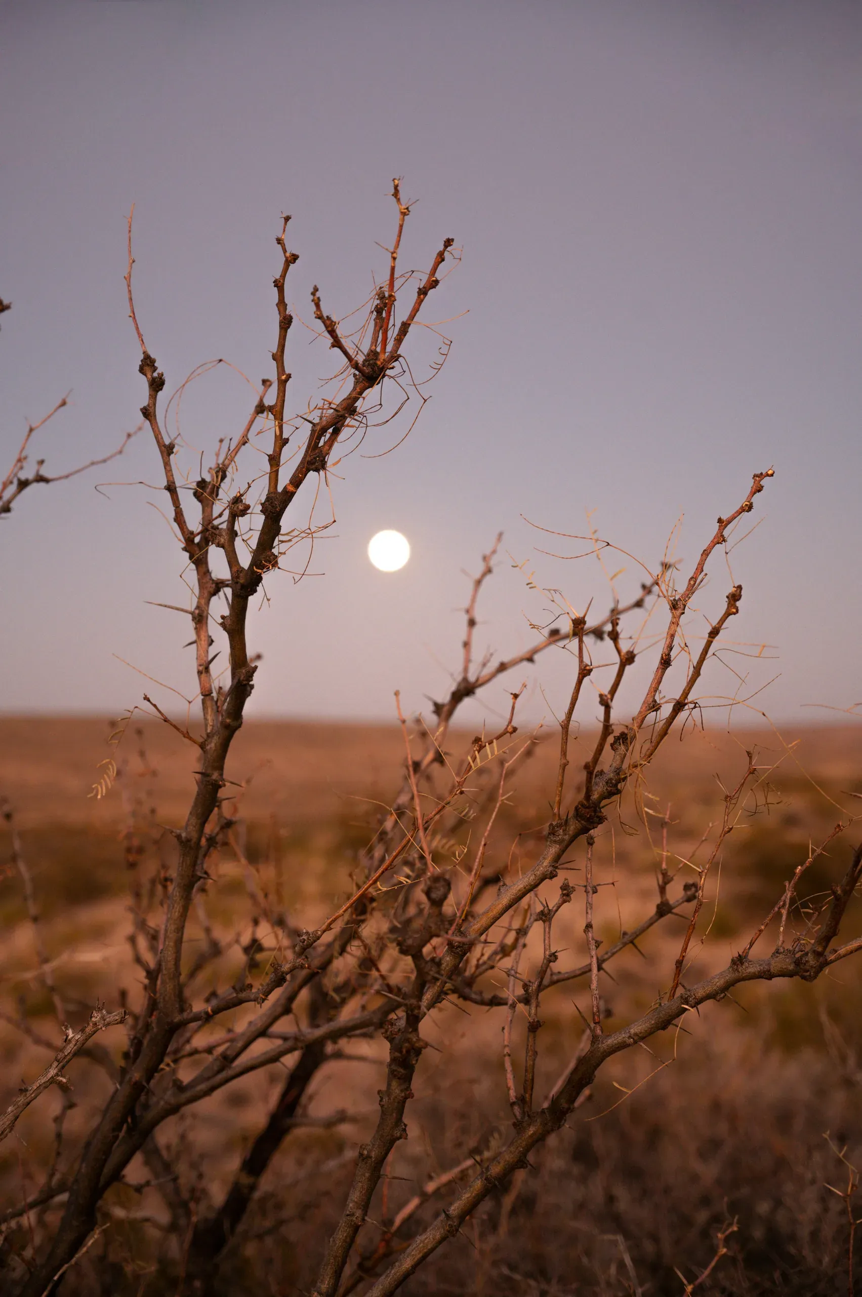Big Bend National Park, Texas