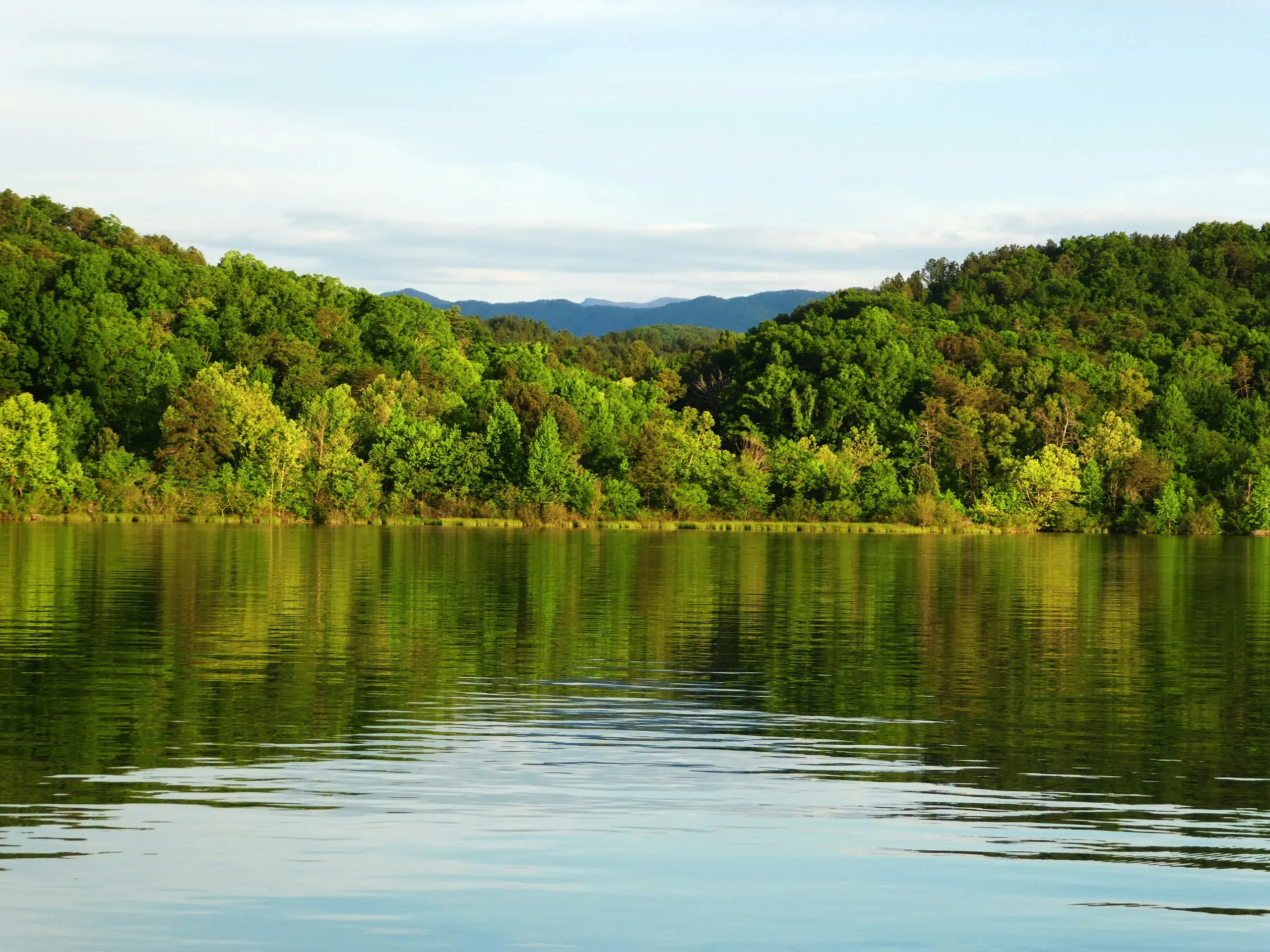 Tellico Lake, Tennessee. Multicolored trees in springtime reflecting in lake with mountains in background