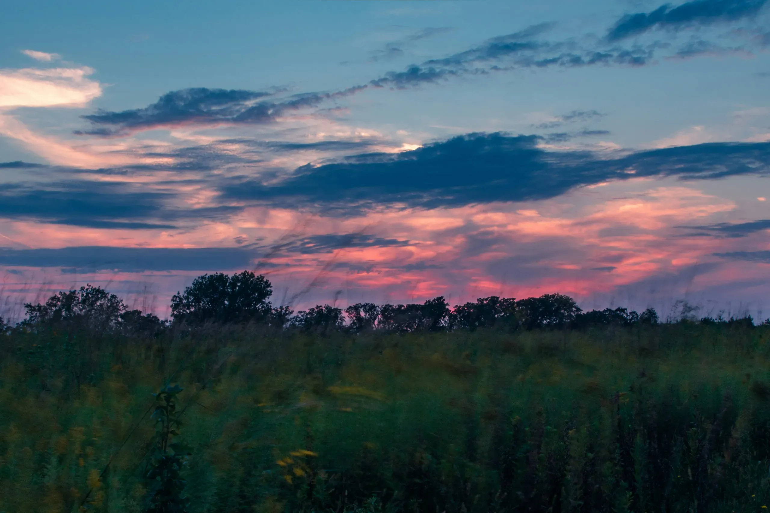 Iowa prairie