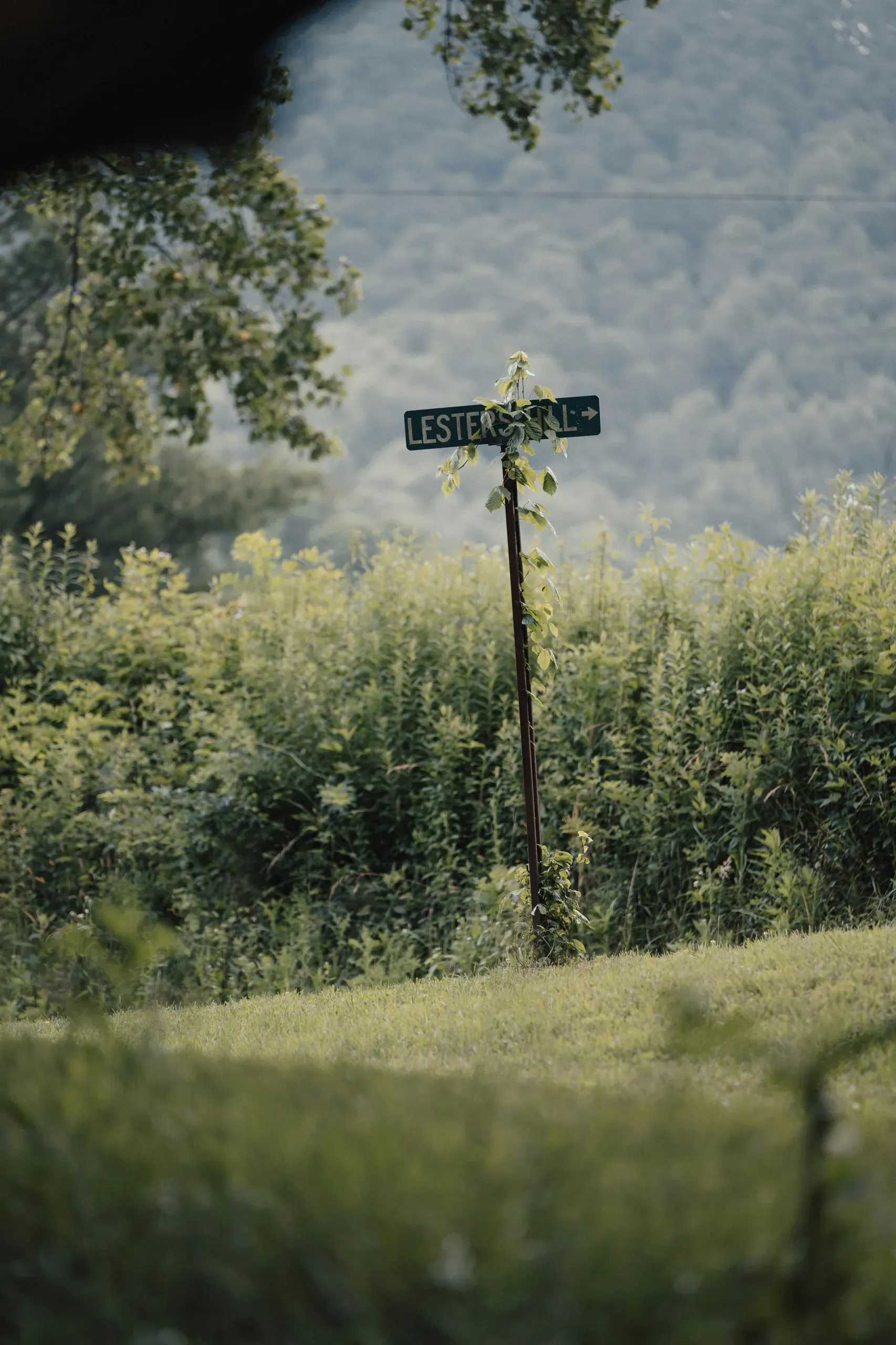 Suches, Georgia