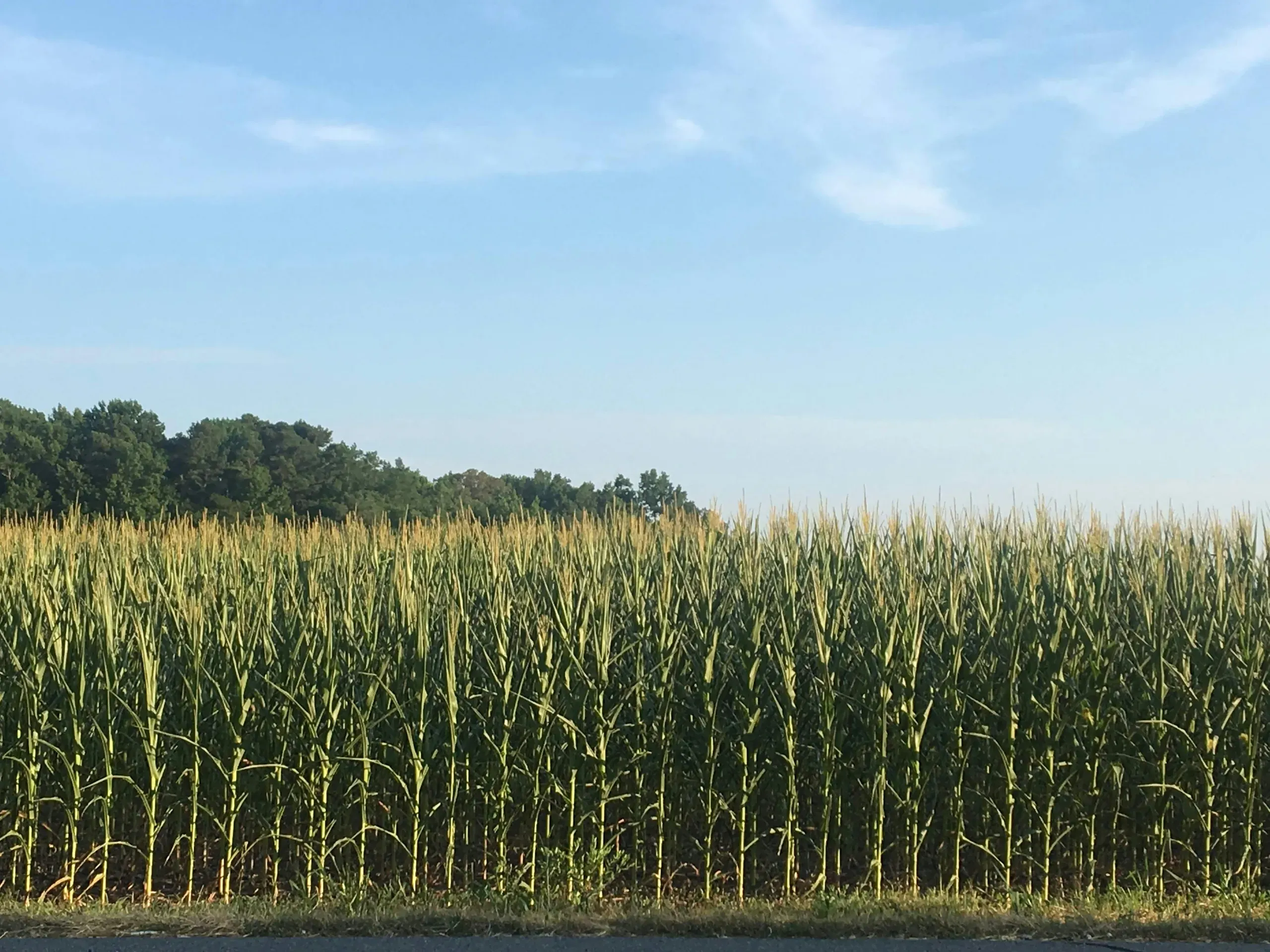 Beach Highway, Greenwood, Delaware