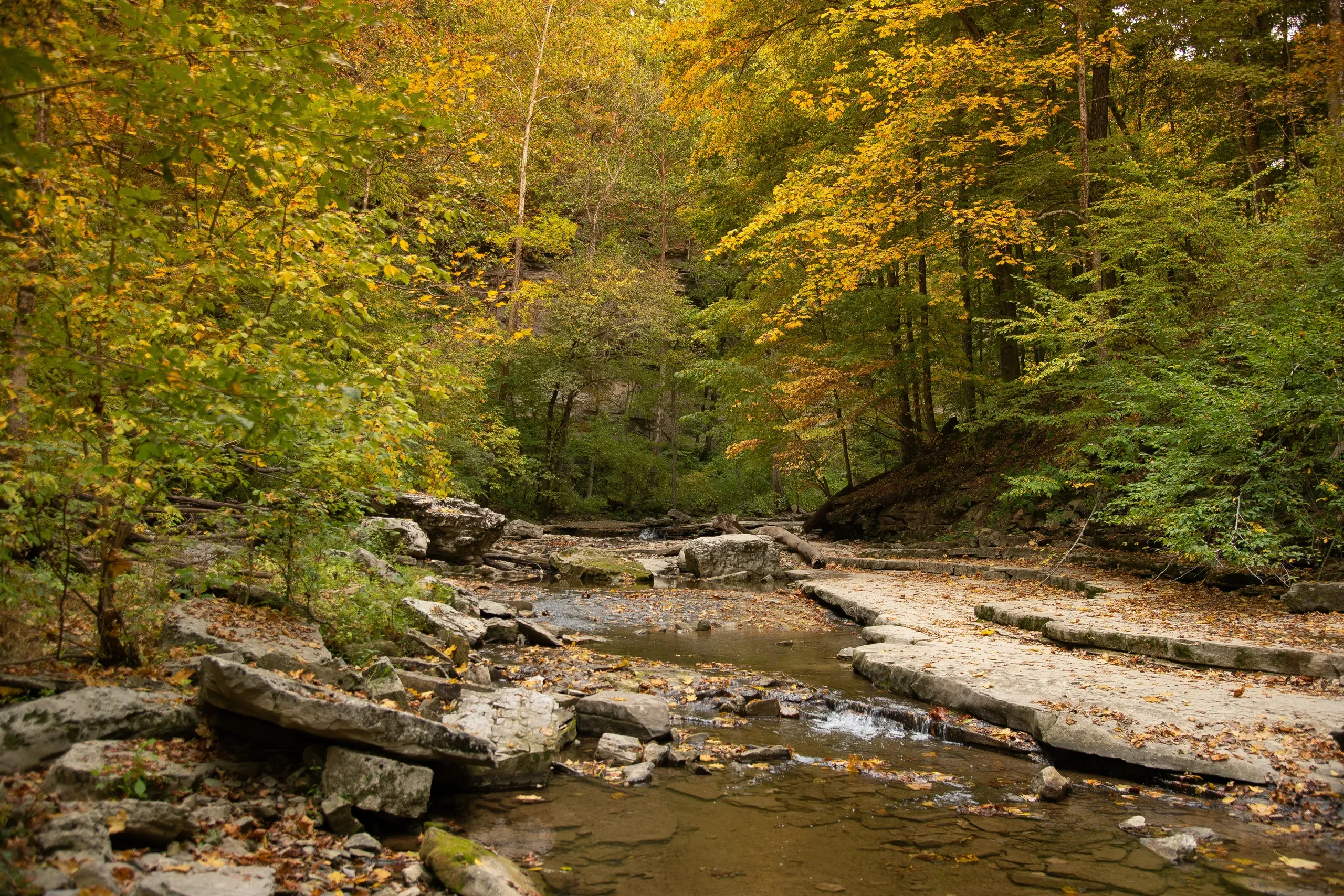 McCormicks Creek, Washington Township, Indiana