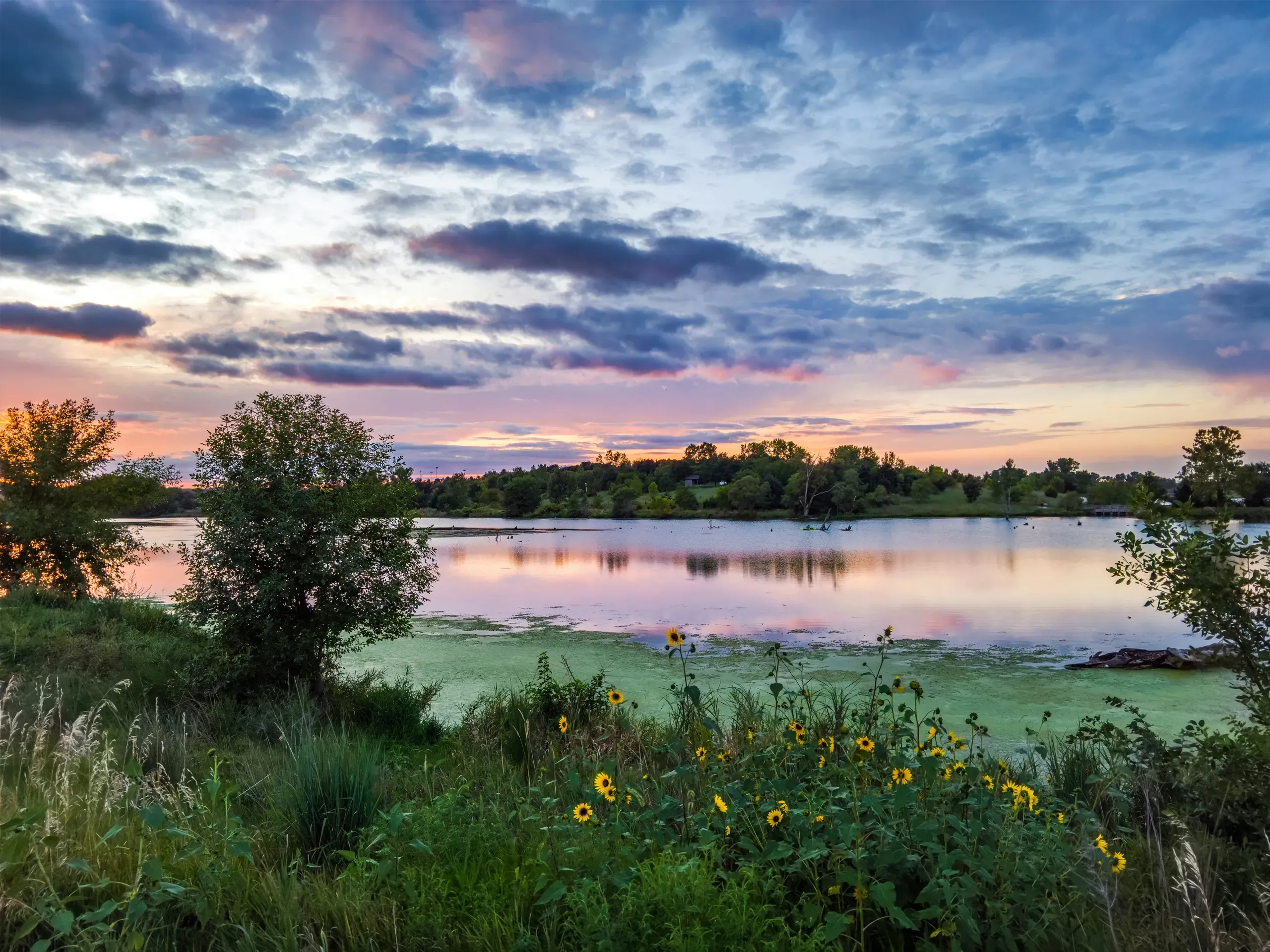 Mallard View Cir, Papillion, Nebraska