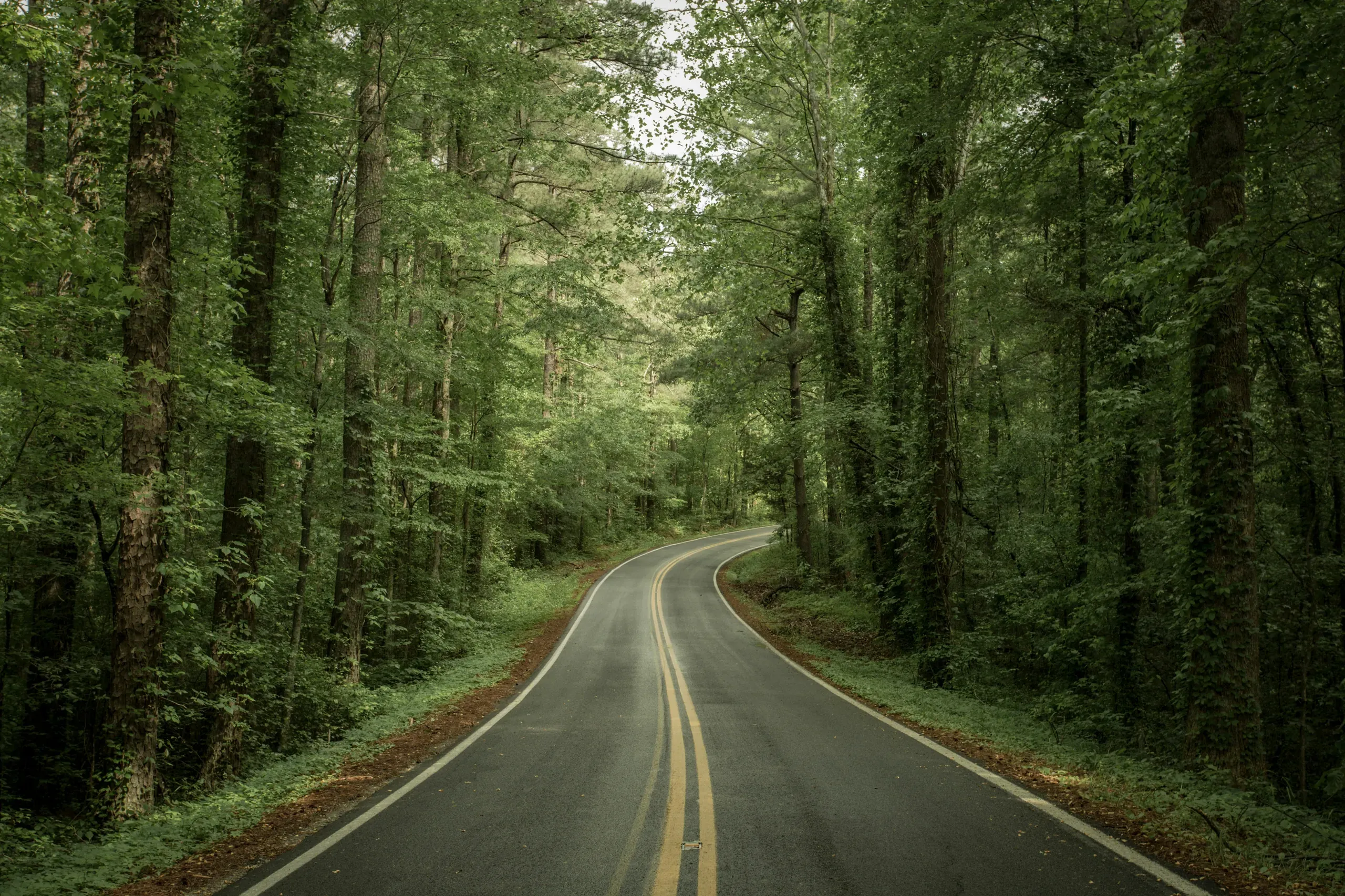 Country road on the way to Memphis, Tennessee