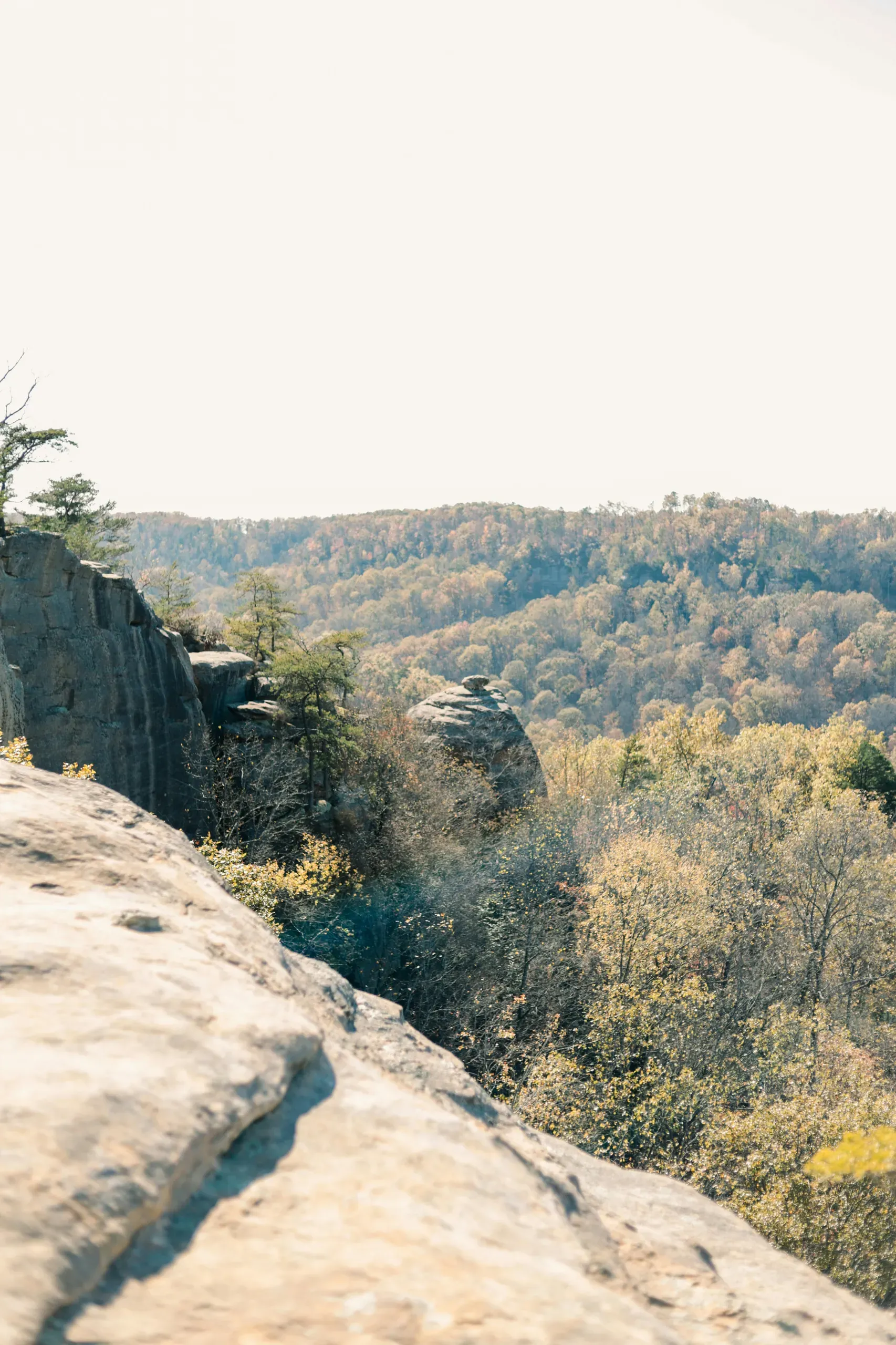 Red River Gorge, Kentucky
