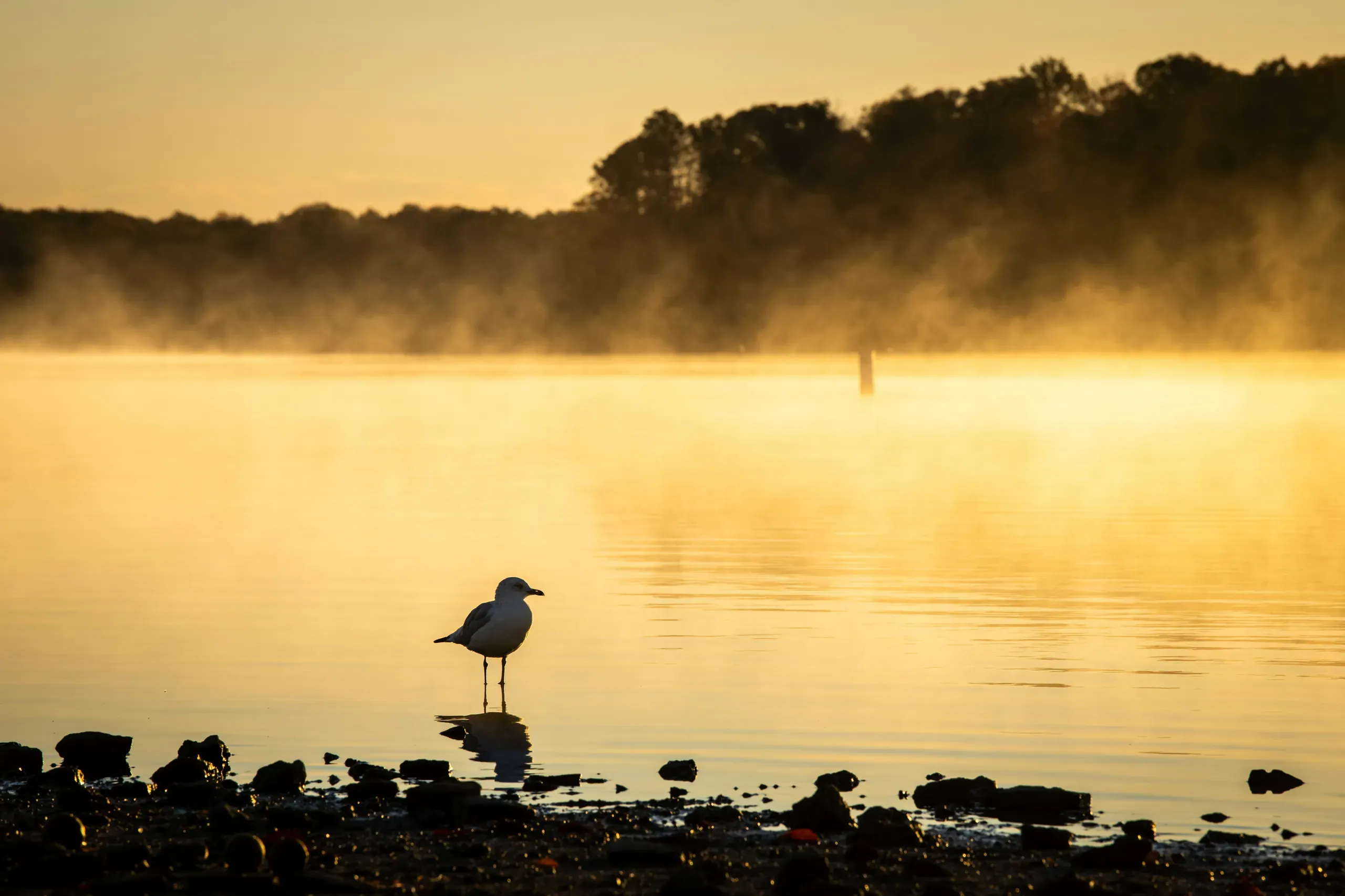 Caesar Creek Lake, Ohio