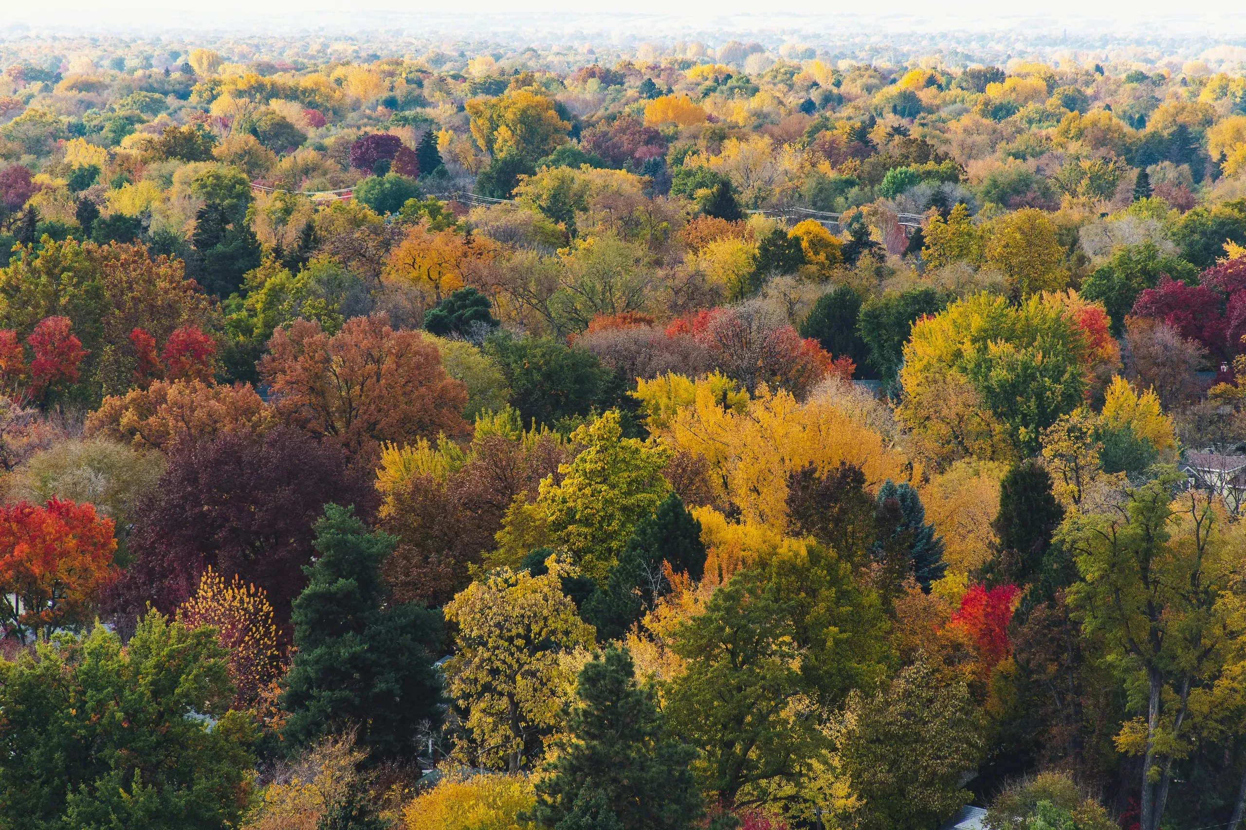 Boise, Idaho
