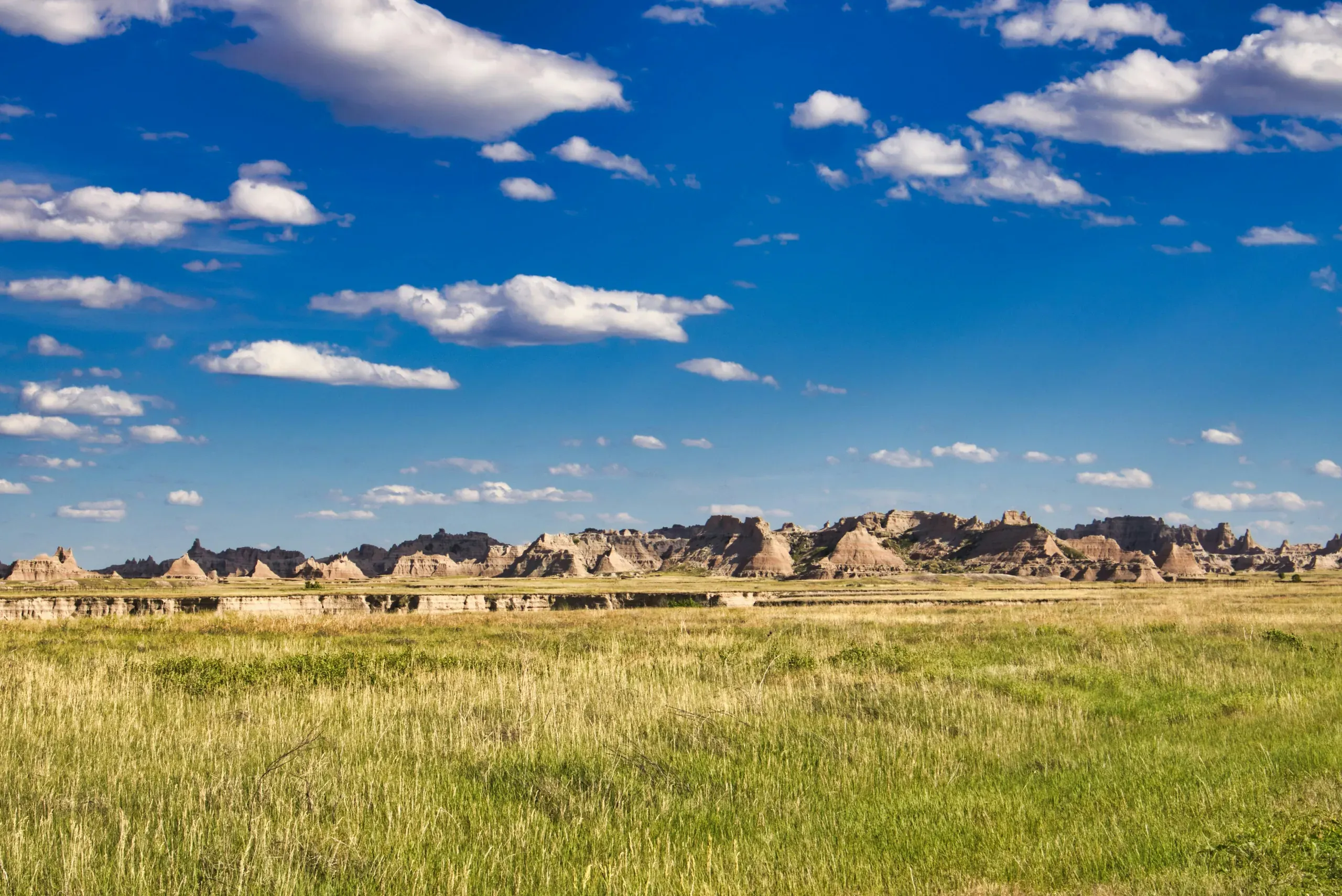 South Dakota. Grass field under blue sky