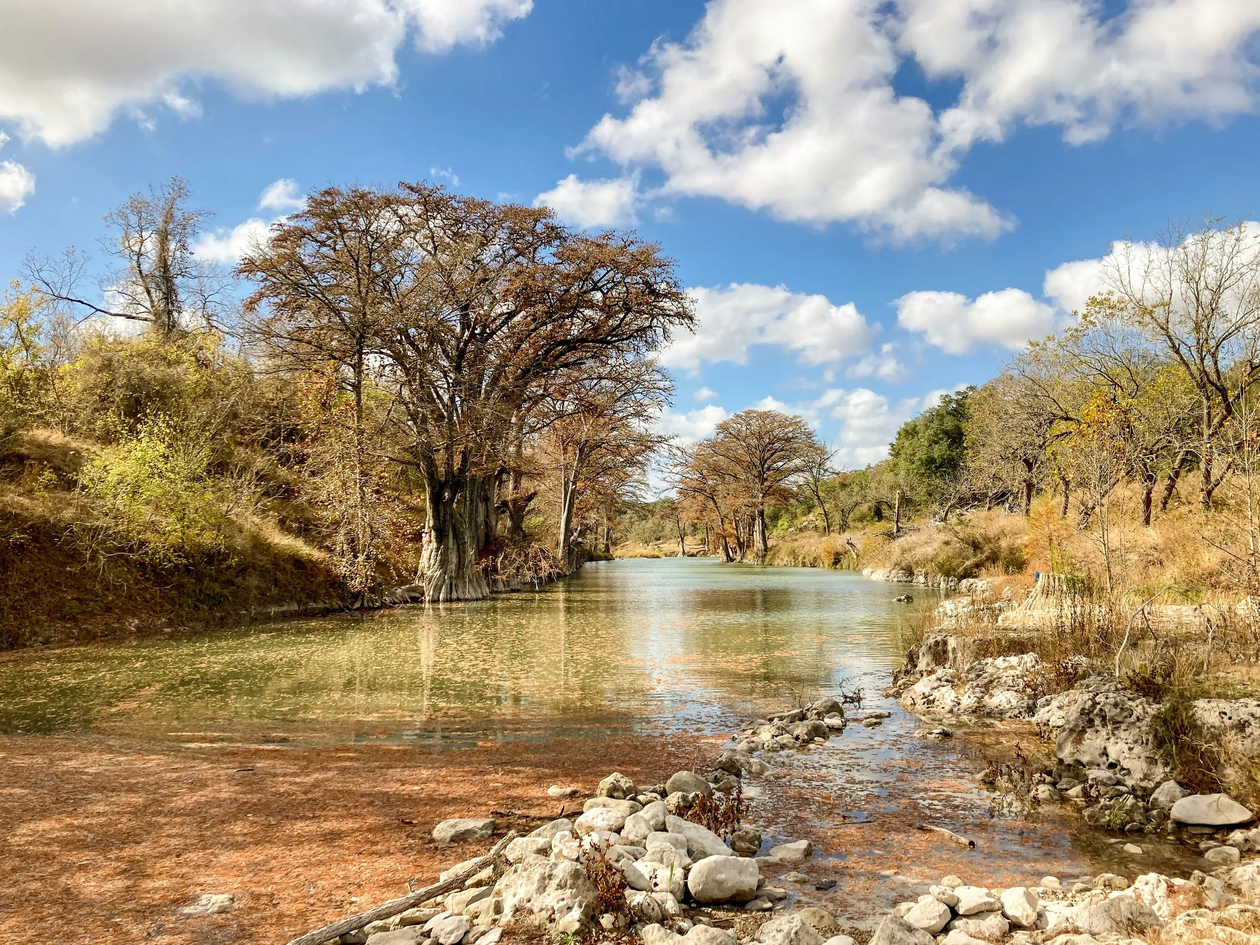 Autumn trees and foliage along the clear water of the Guadalupe River in Texas.